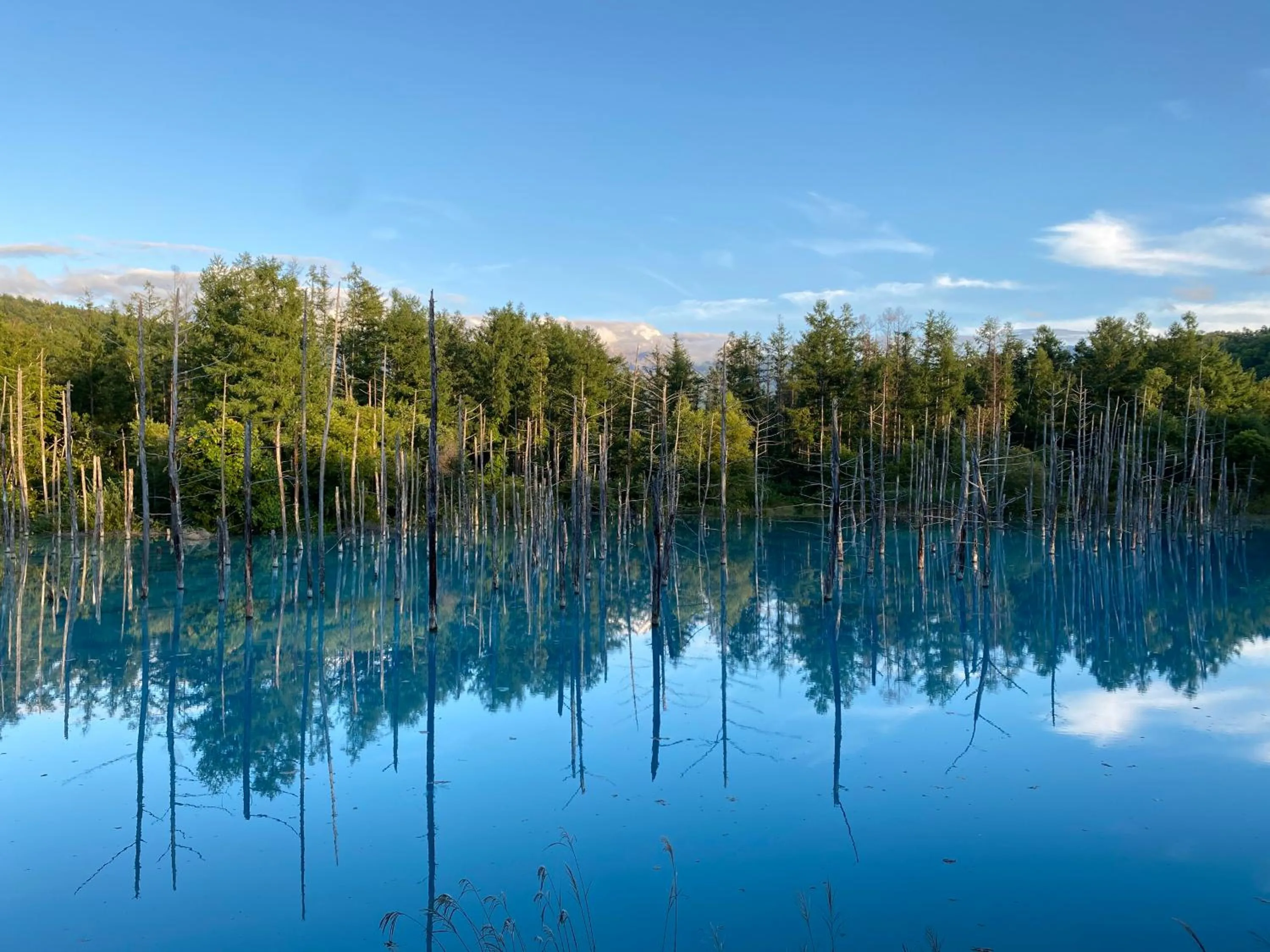 Nearby landmark in Hotel Naturwald Furano