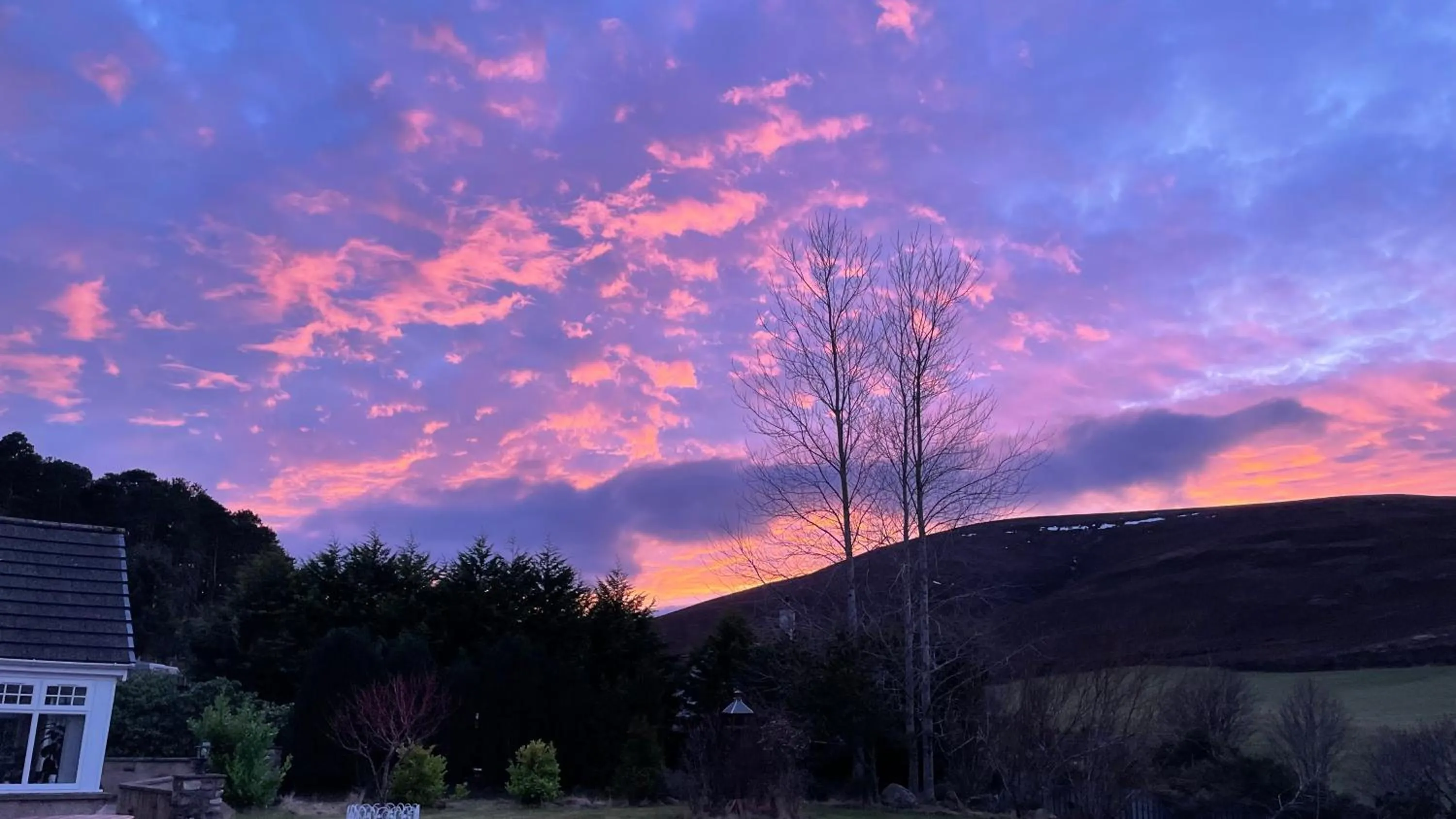 Garden in The Gables Whisky B&B