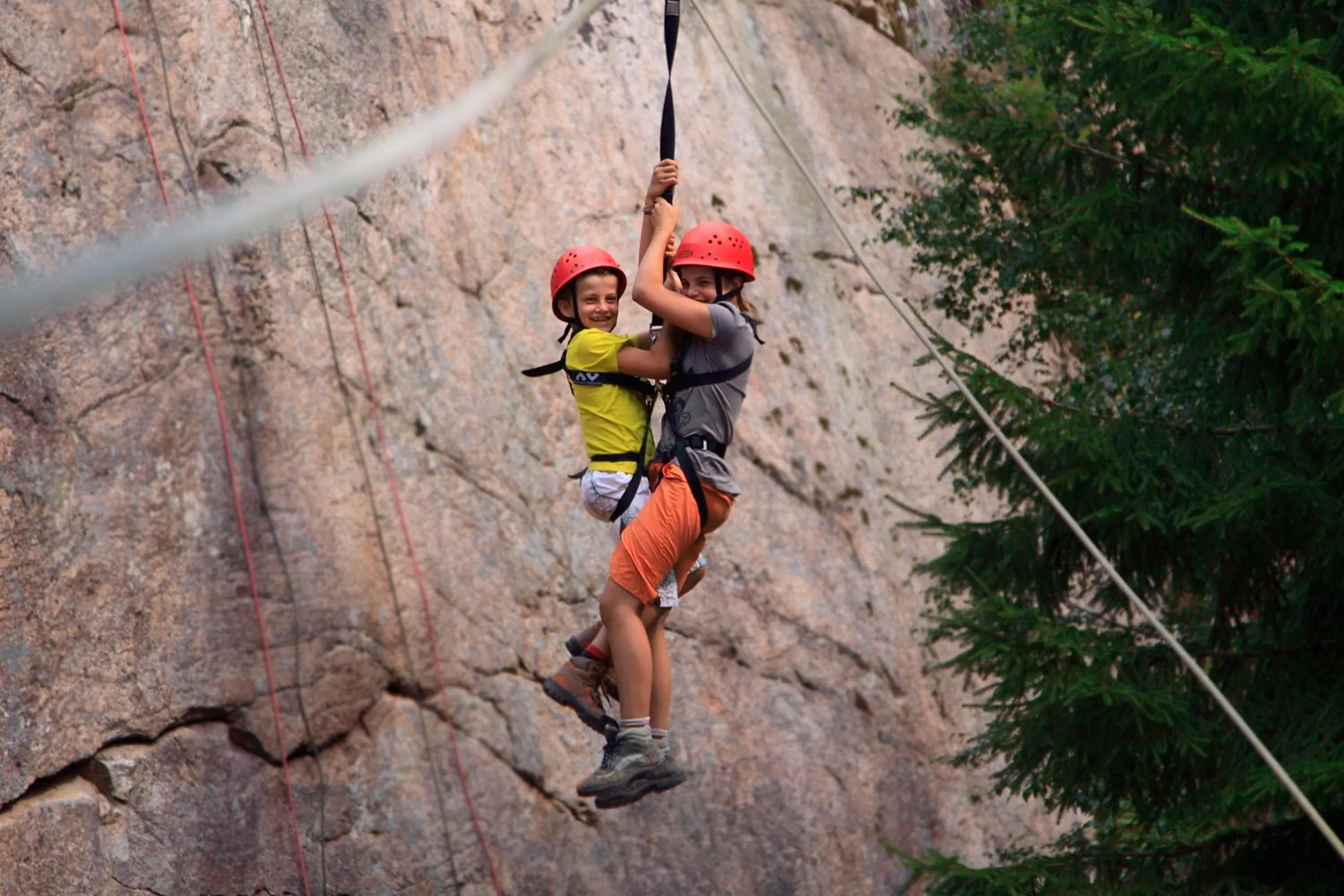 Animals, Other Activities in Kröken