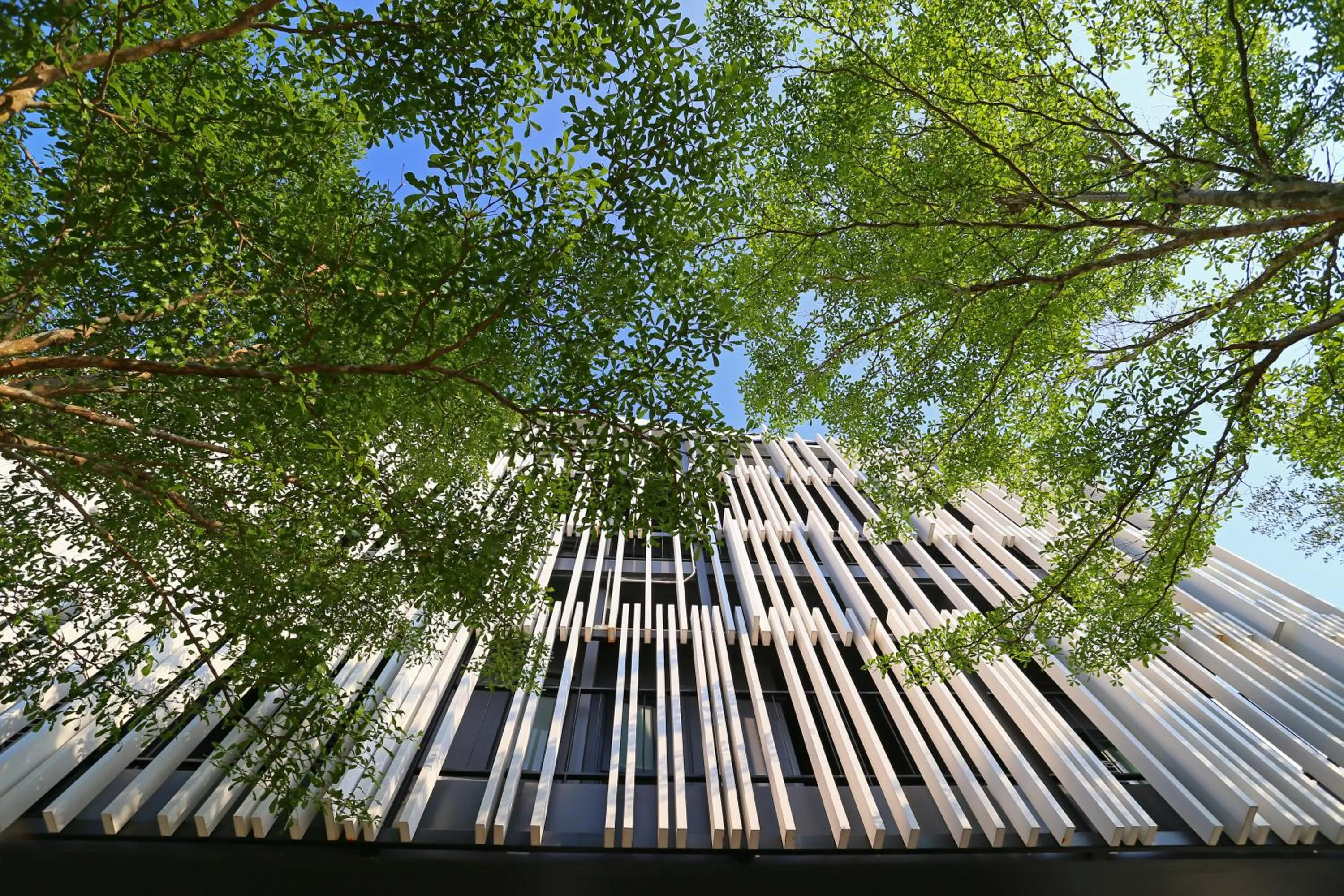 Facade/entrance in Blu Monkey Bed & Breakfast Phuket