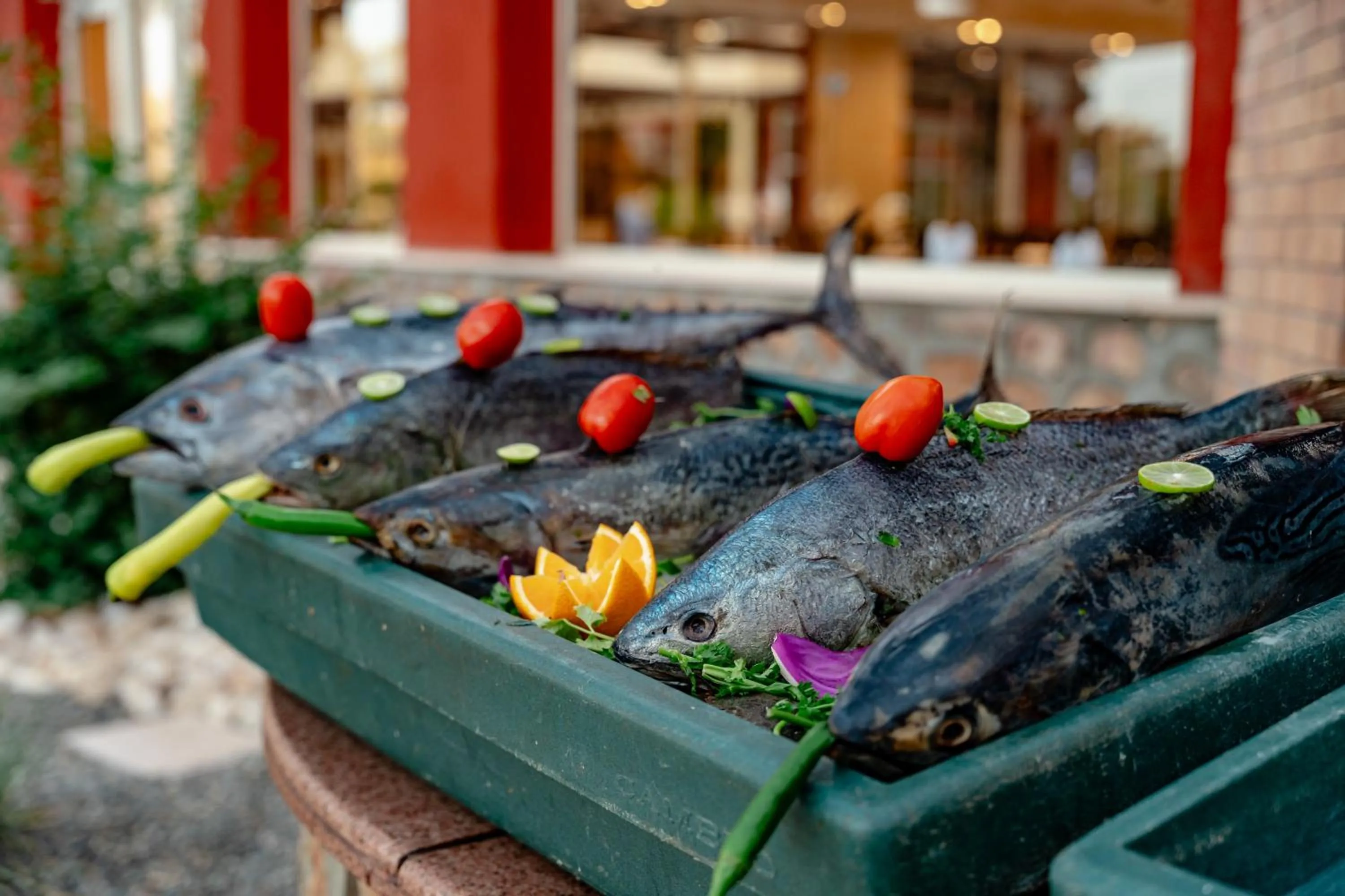 Food in Blend Elphistone Resort Marsa Alam