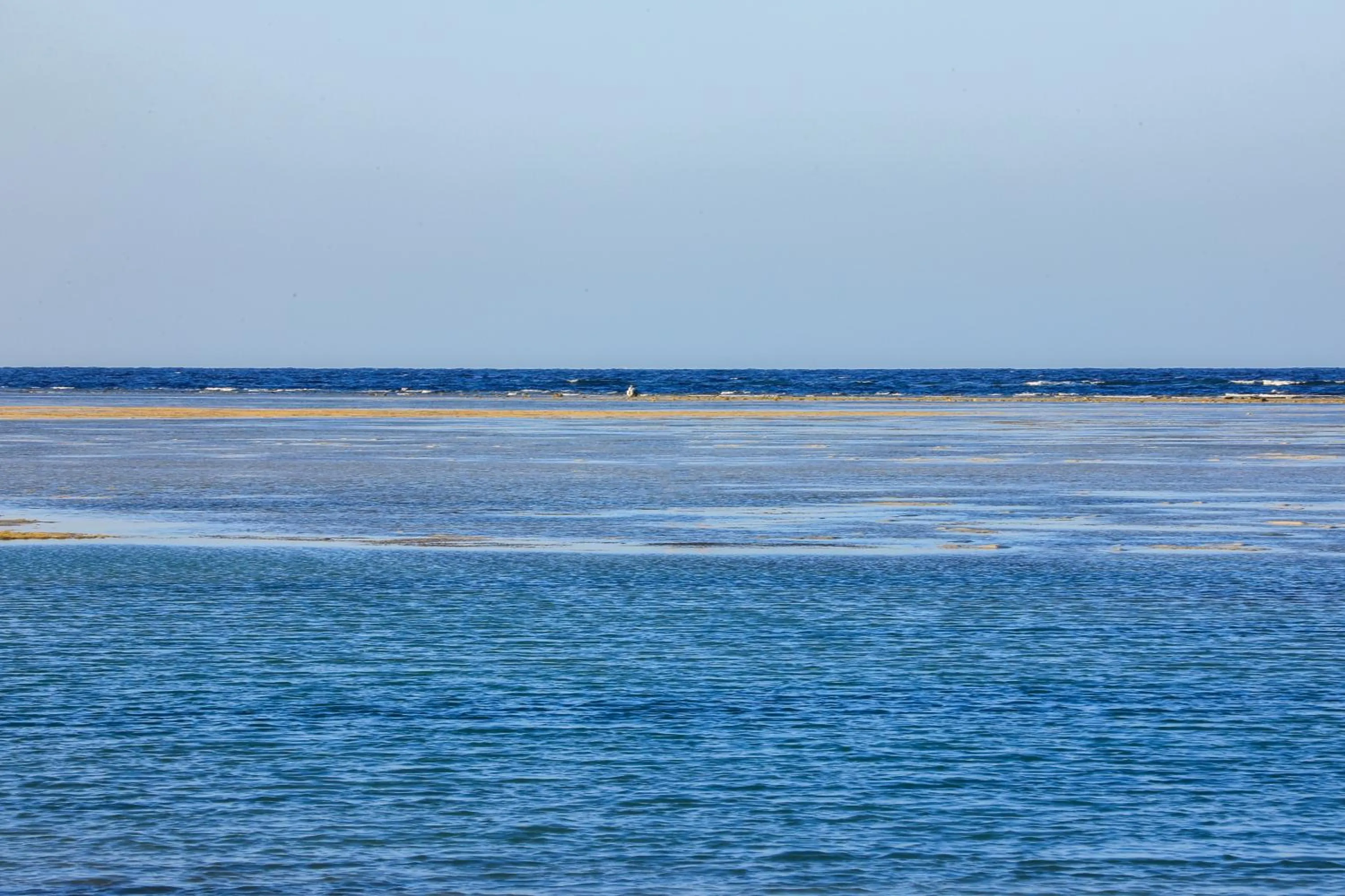 Beach in Blend Elphistone Resort Marsa Alam