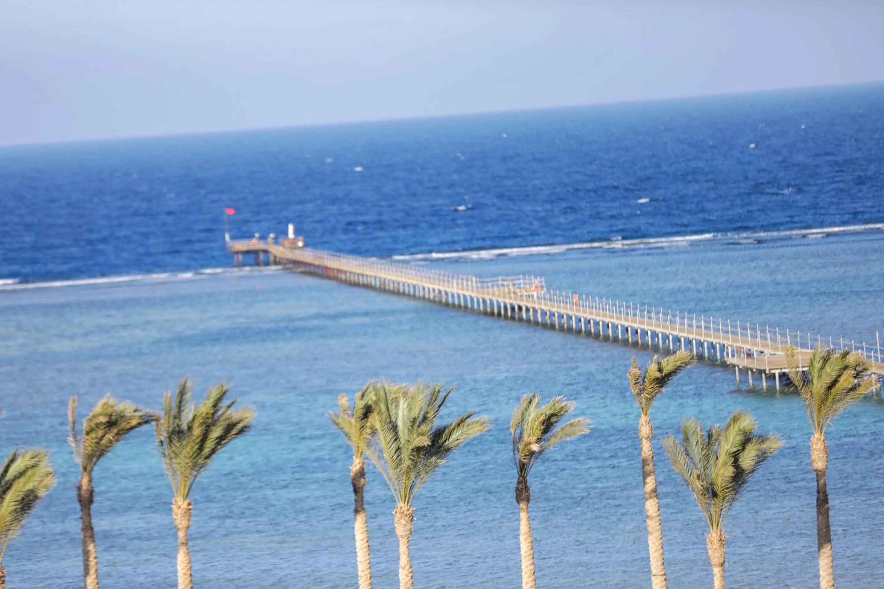 Beach in Blend Elphistone Resort Marsa Alam