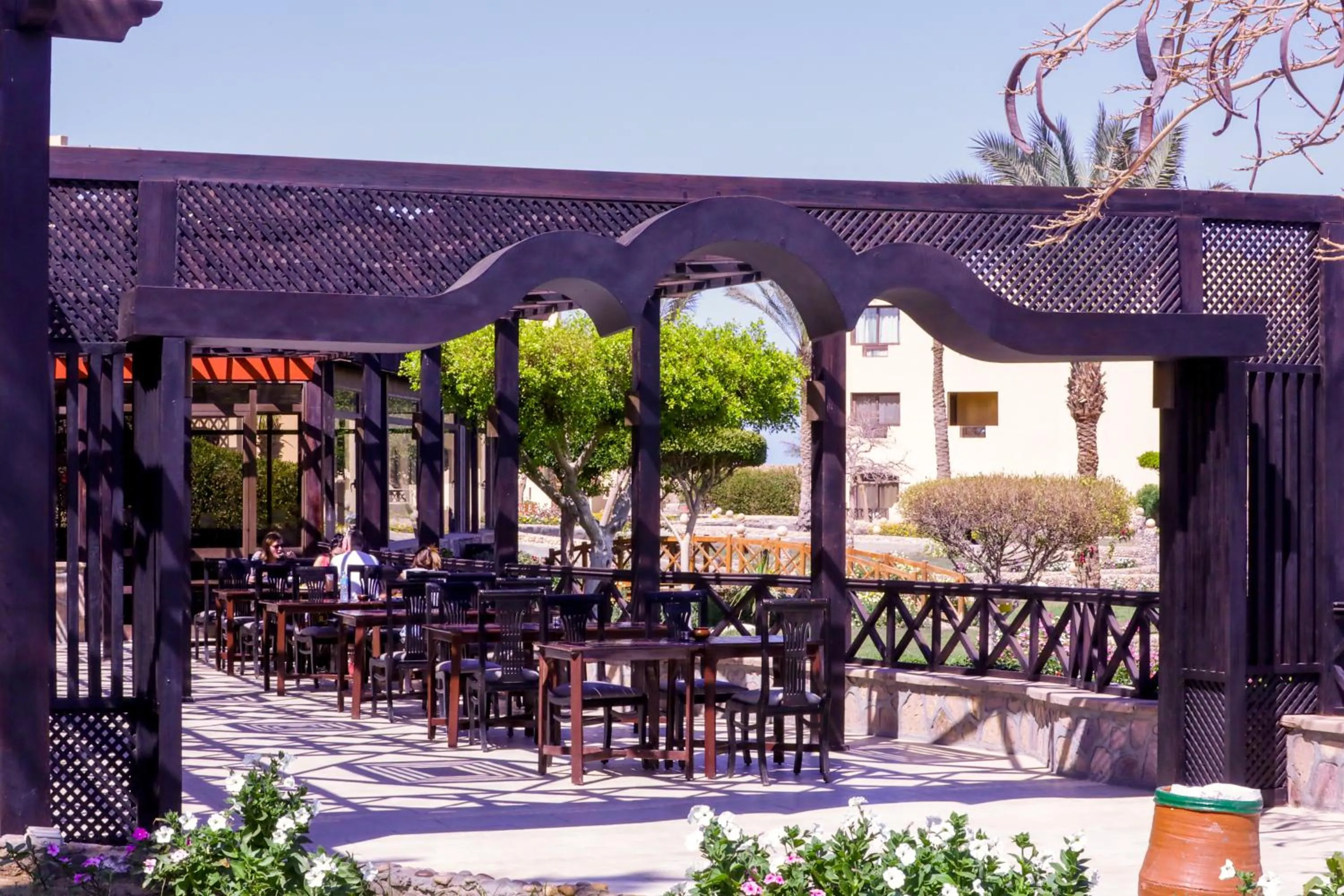Restaurant/places to eat in Blend Elphistone Resort Marsa Alam