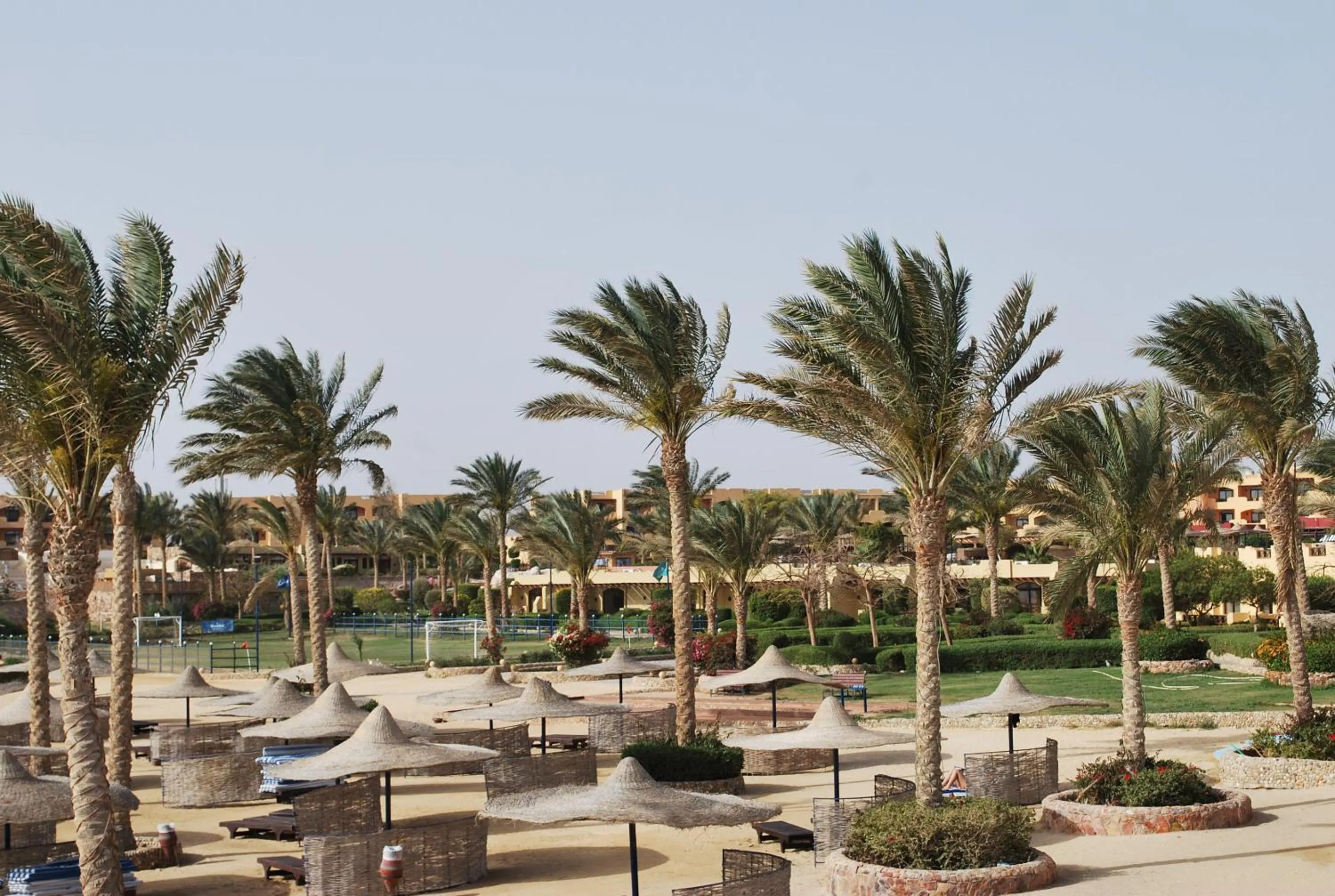 Garden view in Blend Elphistone Resort Marsa Alam
