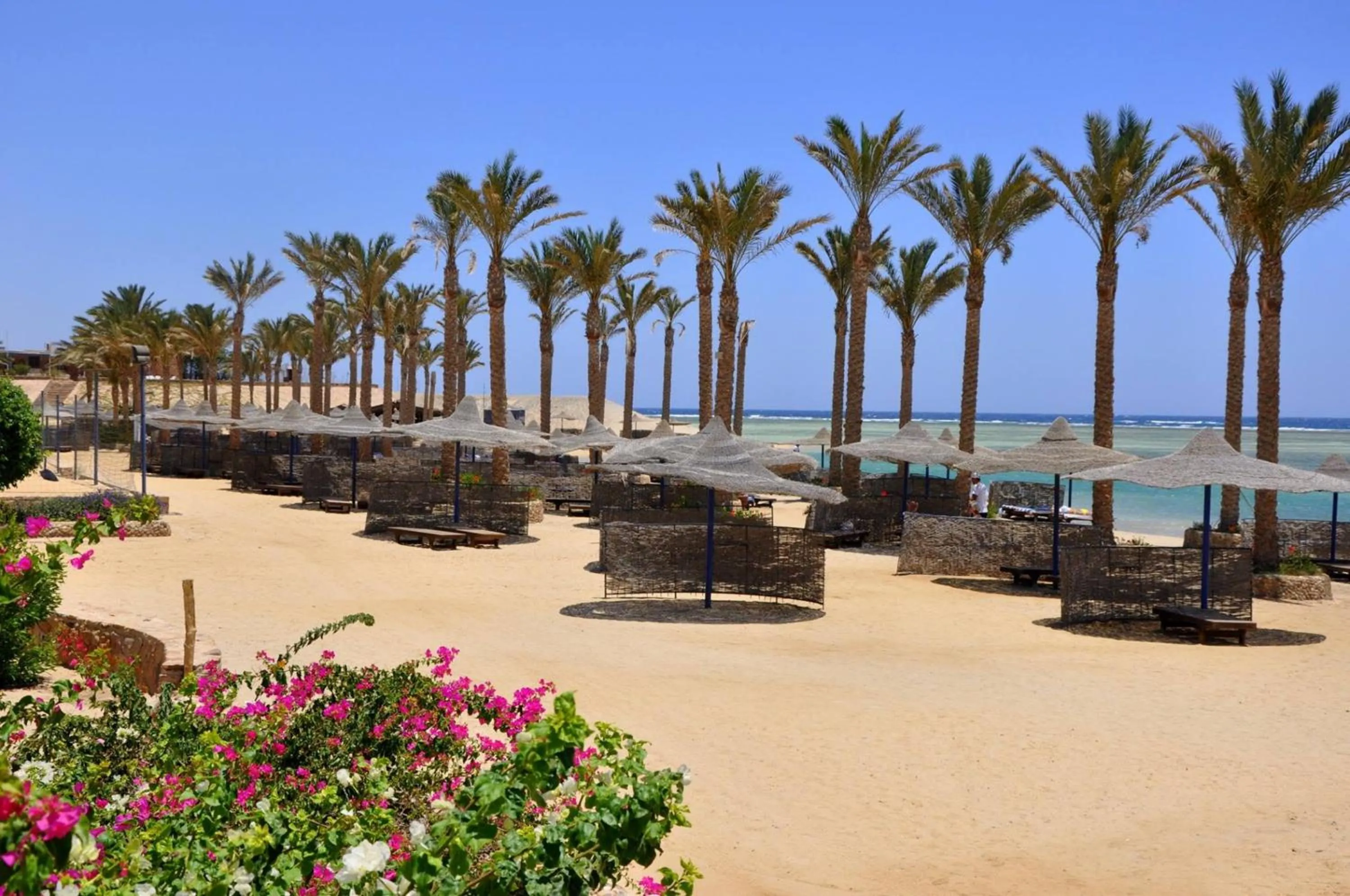 Beach in Blend Elphistone Resort Marsa Alam