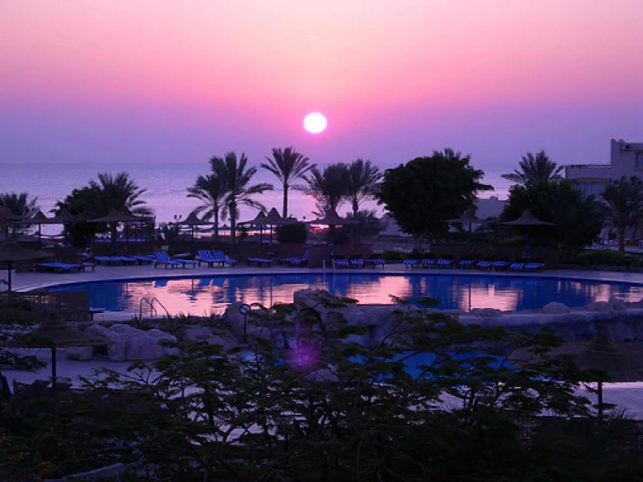 Swimming pool in Blend Elphistone Resort Marsa Alam