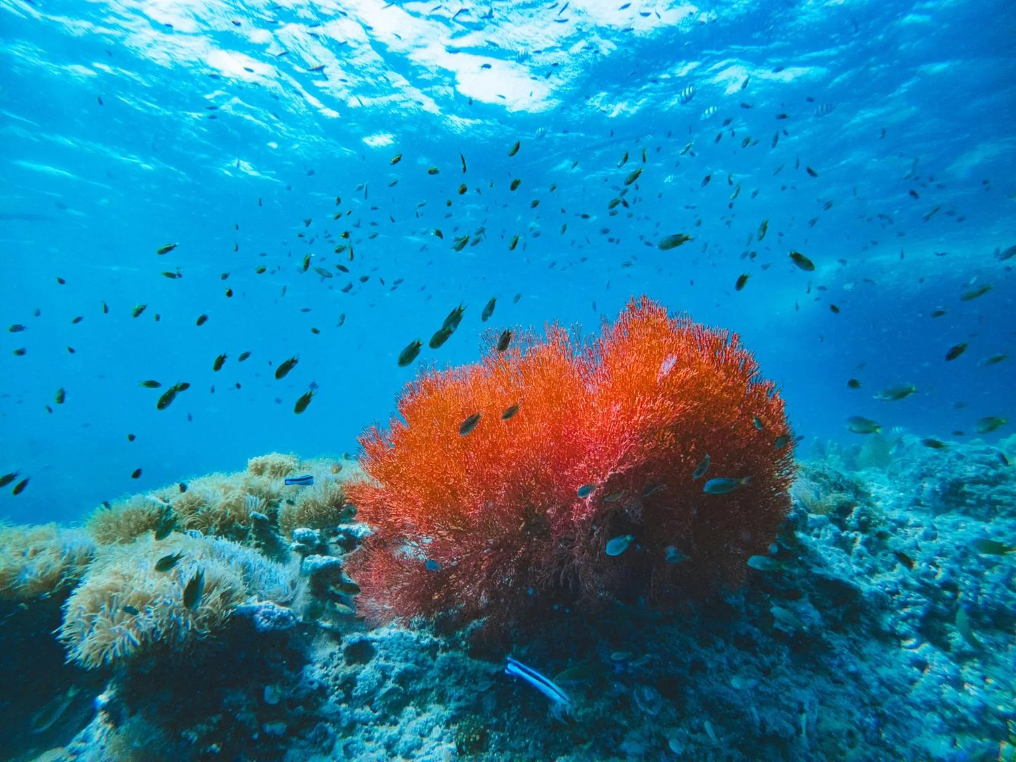 Natural landscape in Mayalay Resort-Green Hotel