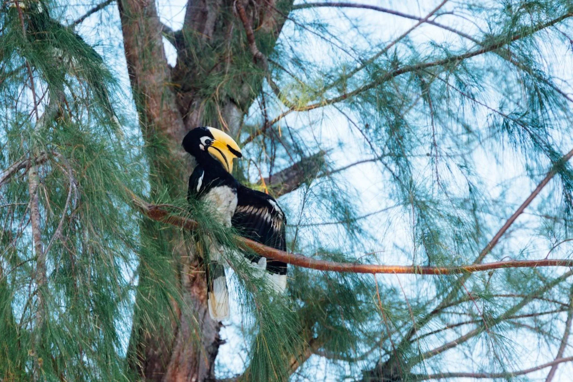 Natural landscape in Mayalay Resort-Green Hotel