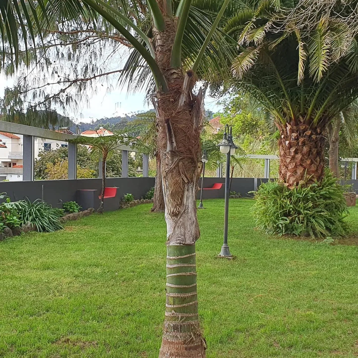 Garden in Hotel O Colmo