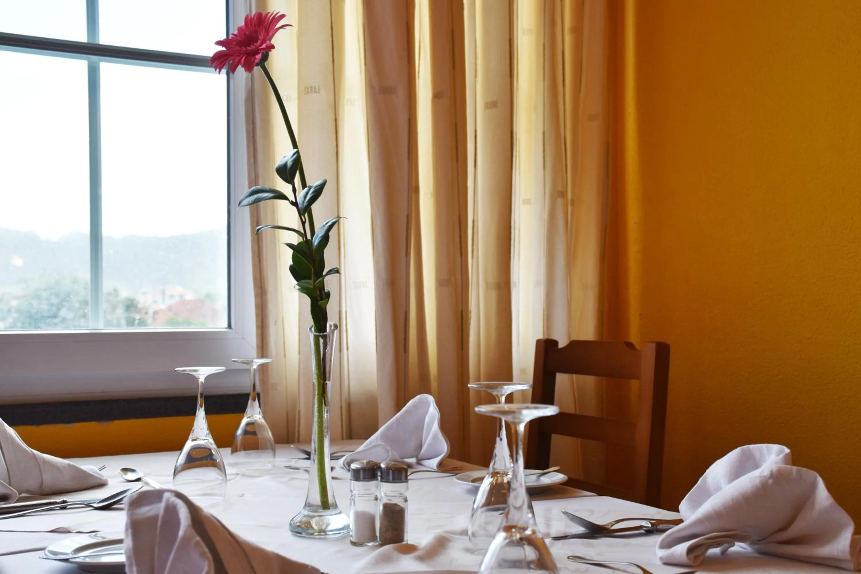 Restaurant/places to eat in Hotel O Colmo