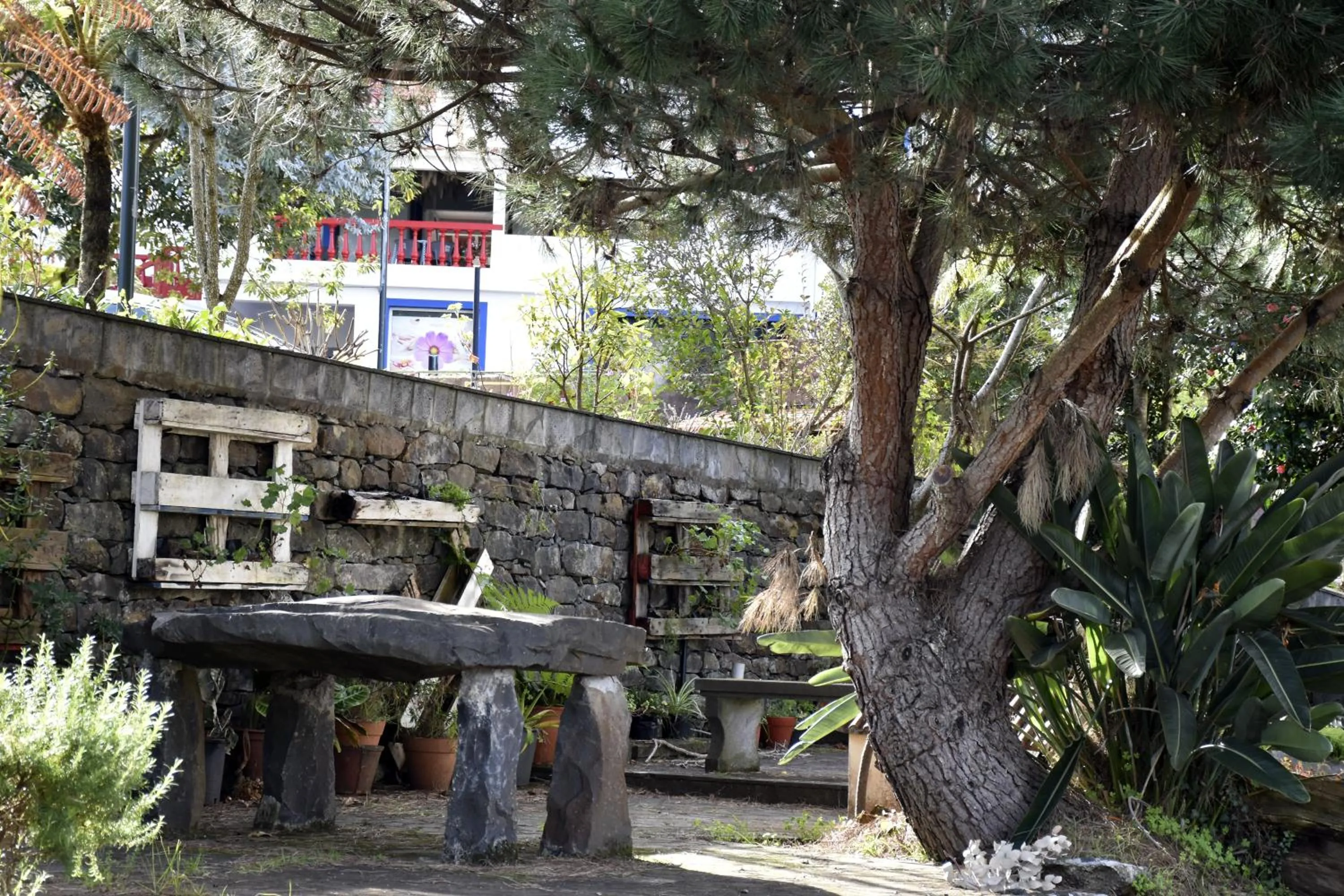Garden in Hotel O Colmo