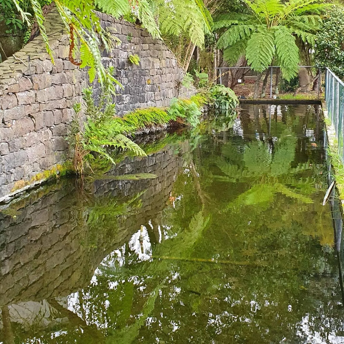 Lake view in Hotel O Colmo