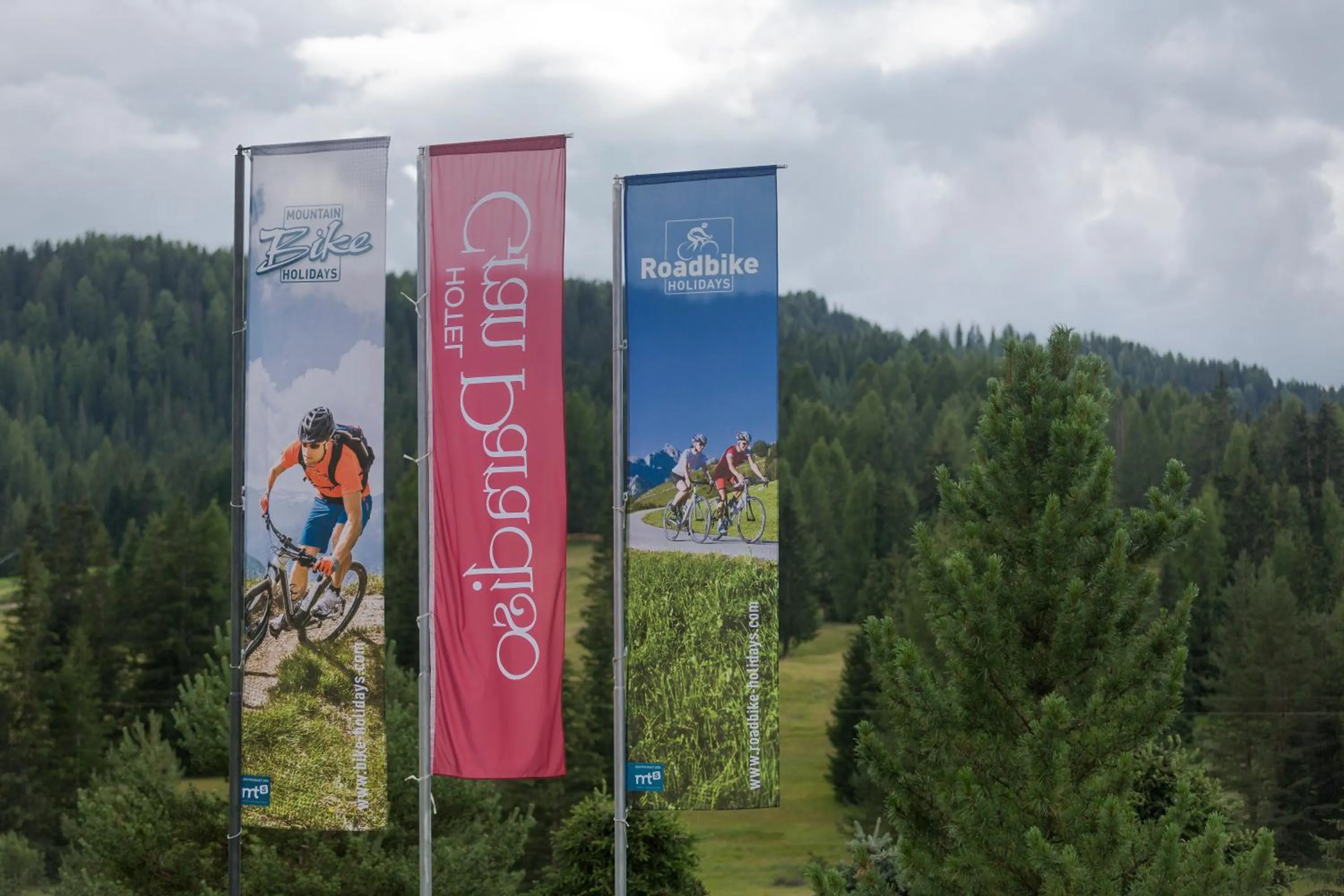 Garden in Hotel Gran Paradiso
