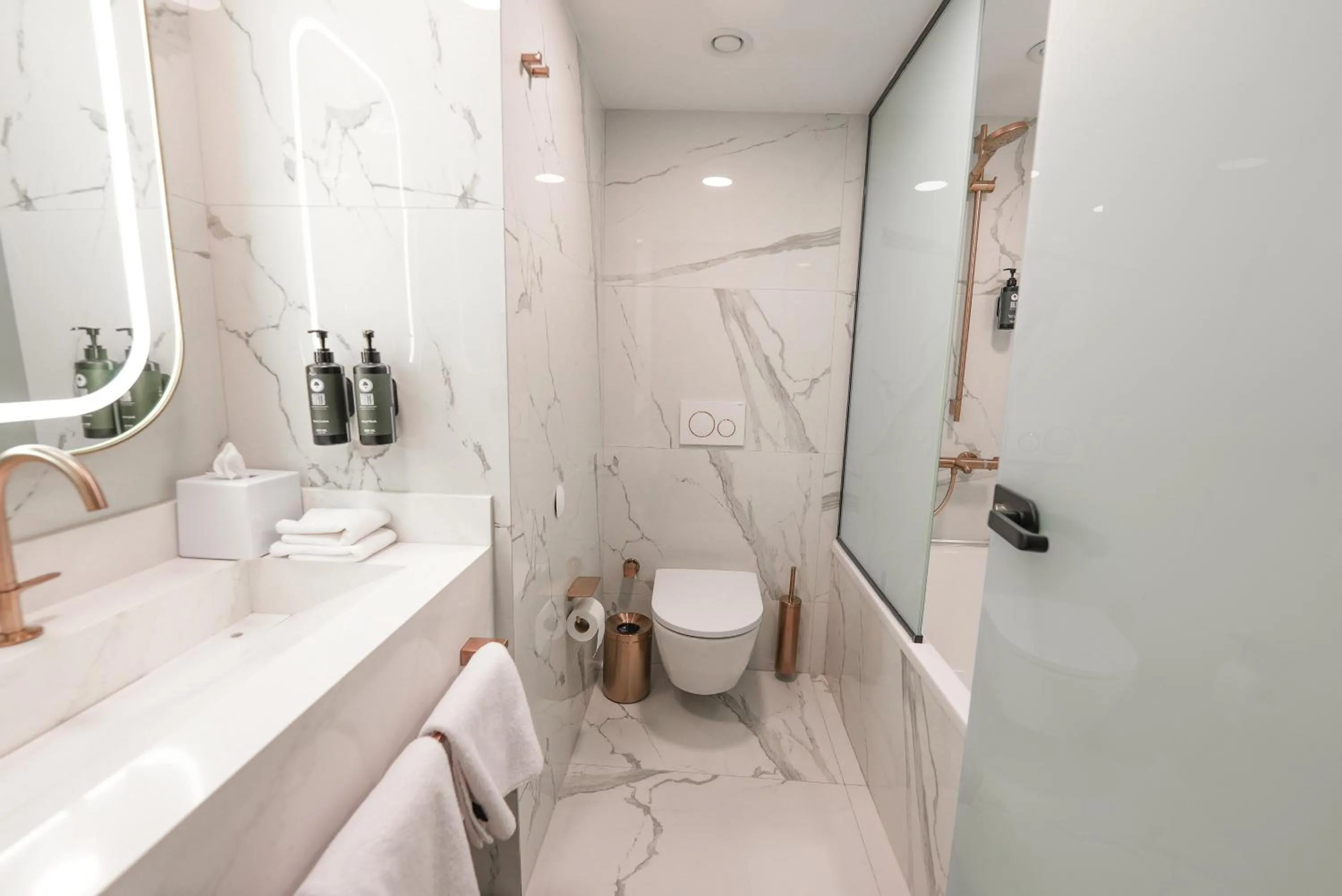 Toilet in Boreas Hotel & SPA, Trademark Collection by Wyndham