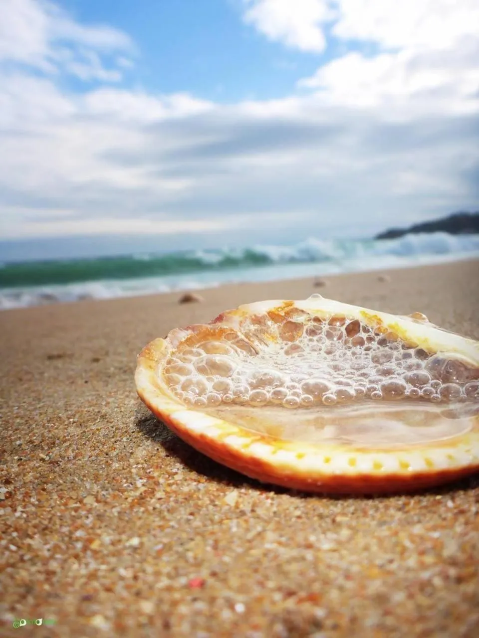Beach in Albufeira Beach Hotel by Kavia