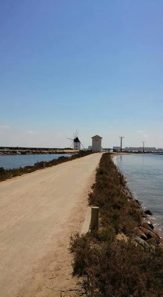 Natural landscape in Hotel Alaska