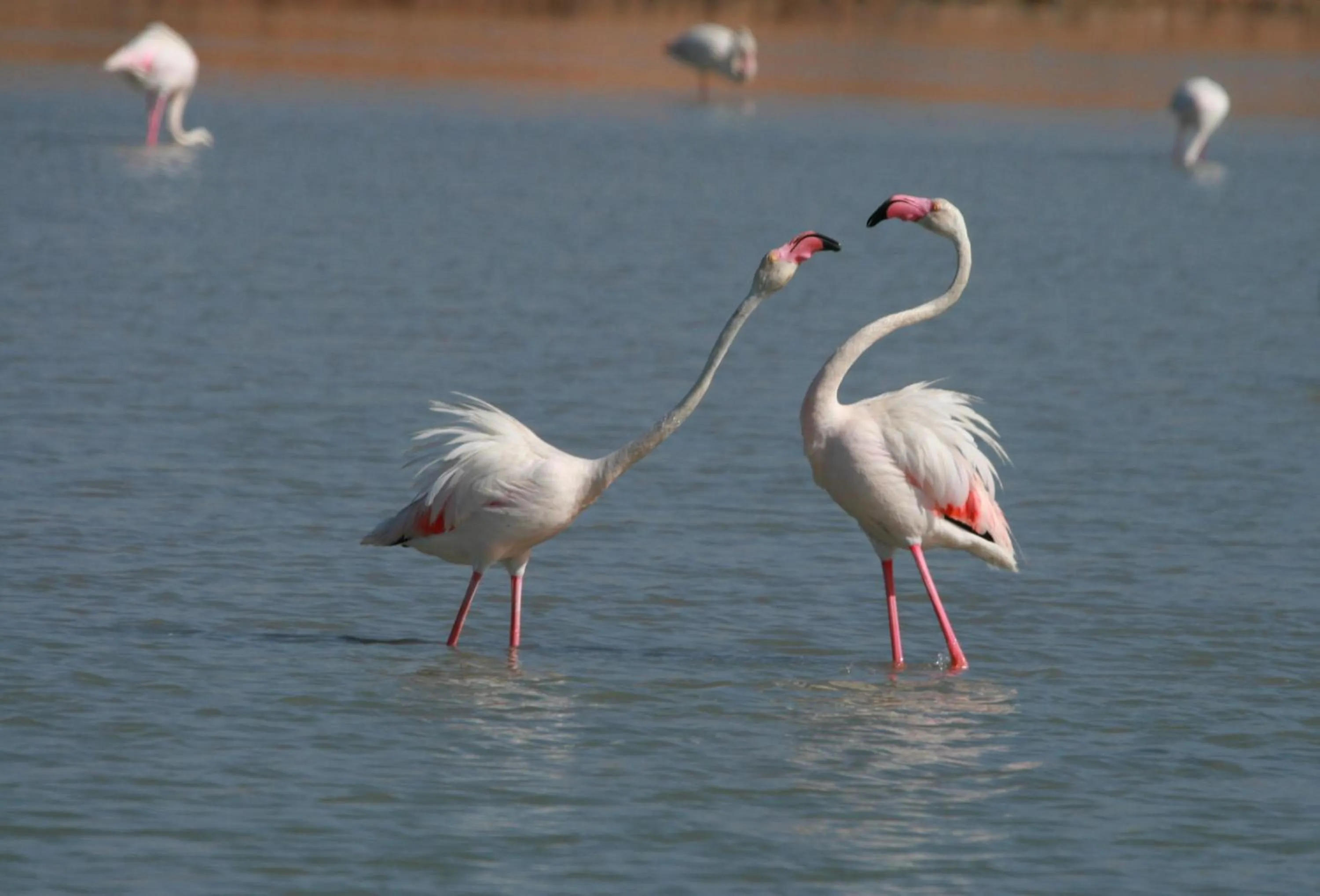 Living room in Hotel Alaska