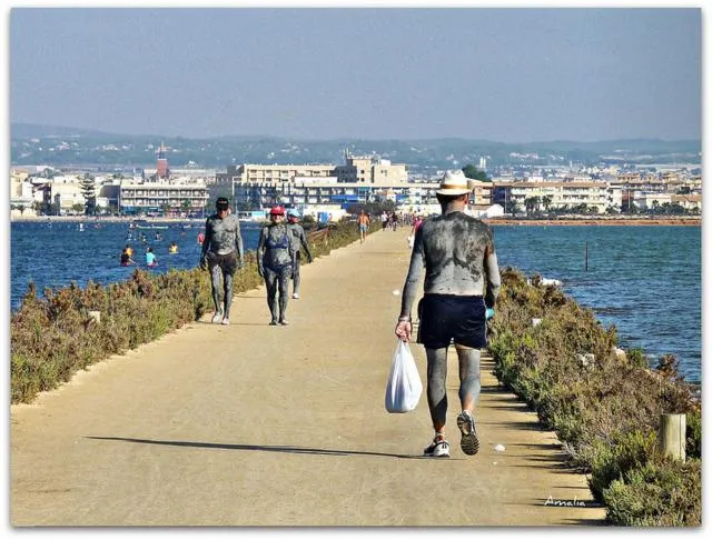 Area and facilities in Hotel Alaska