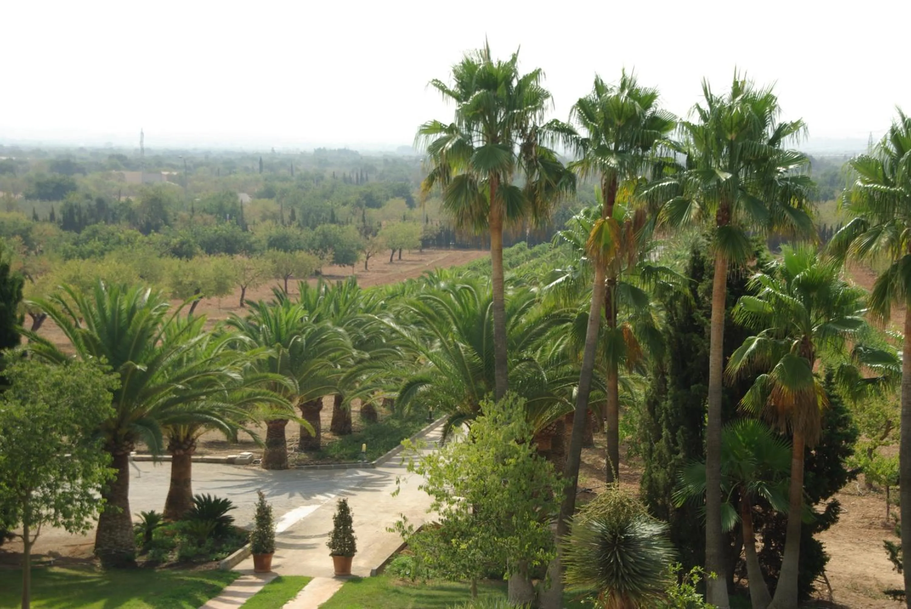 View (from property/room) in Sa Cabana Hotel & Spa - Adults Only