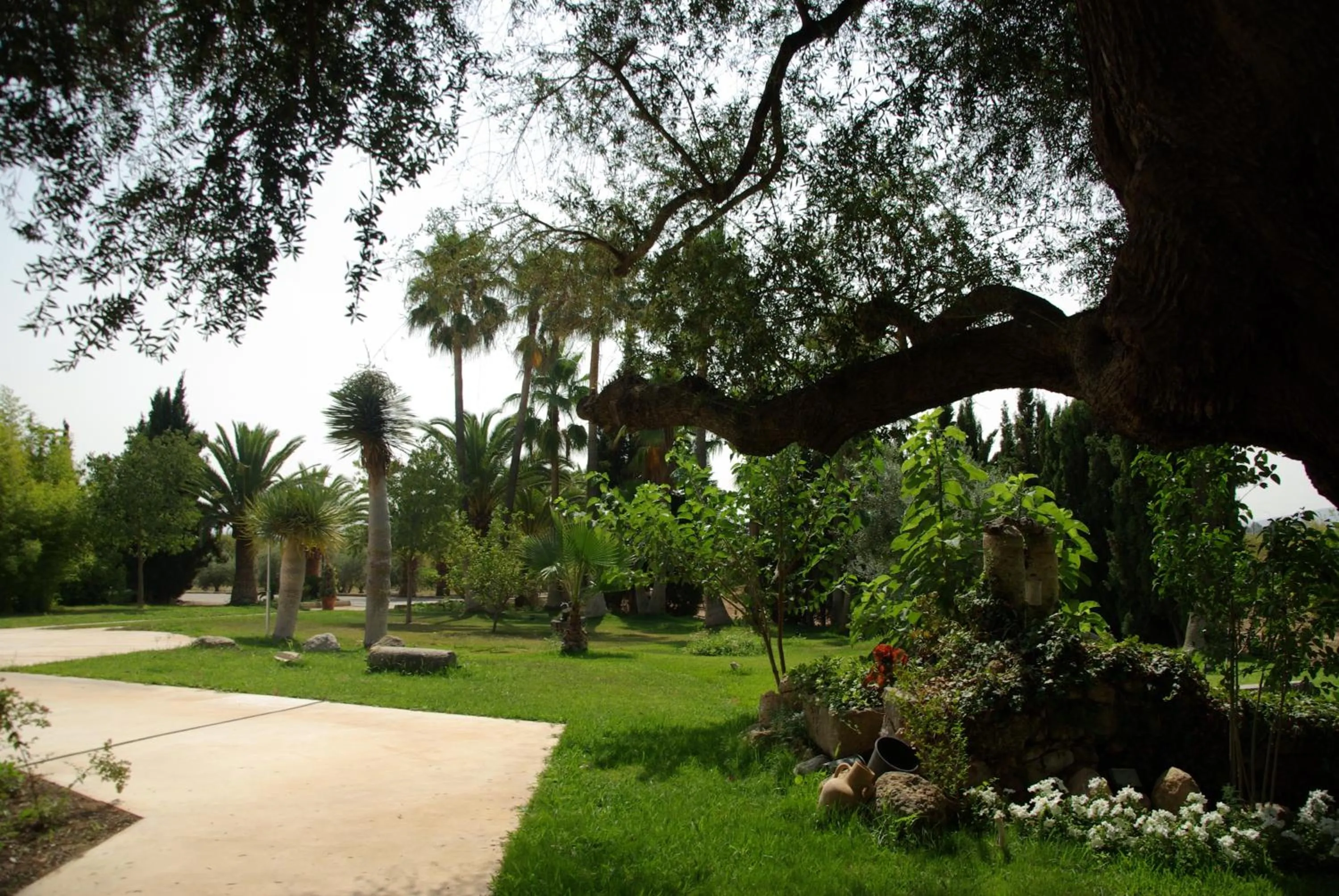 Garden in Sa Cabana Hotel & Spa - Adults Only