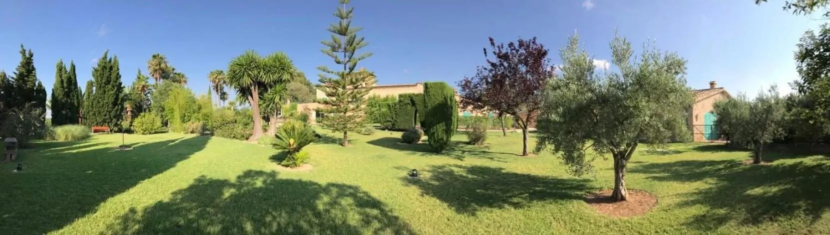 Property building in Sa Cabana Hotel & Spa - Adults Only