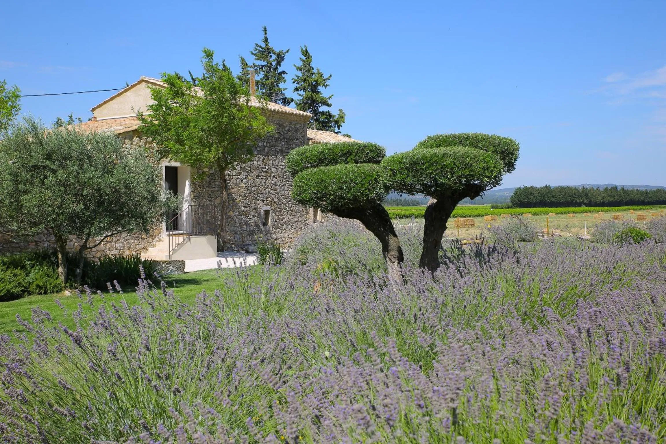 Maison CHENET - Les Chambres Entre Vigne et Garrigue - Teritoria