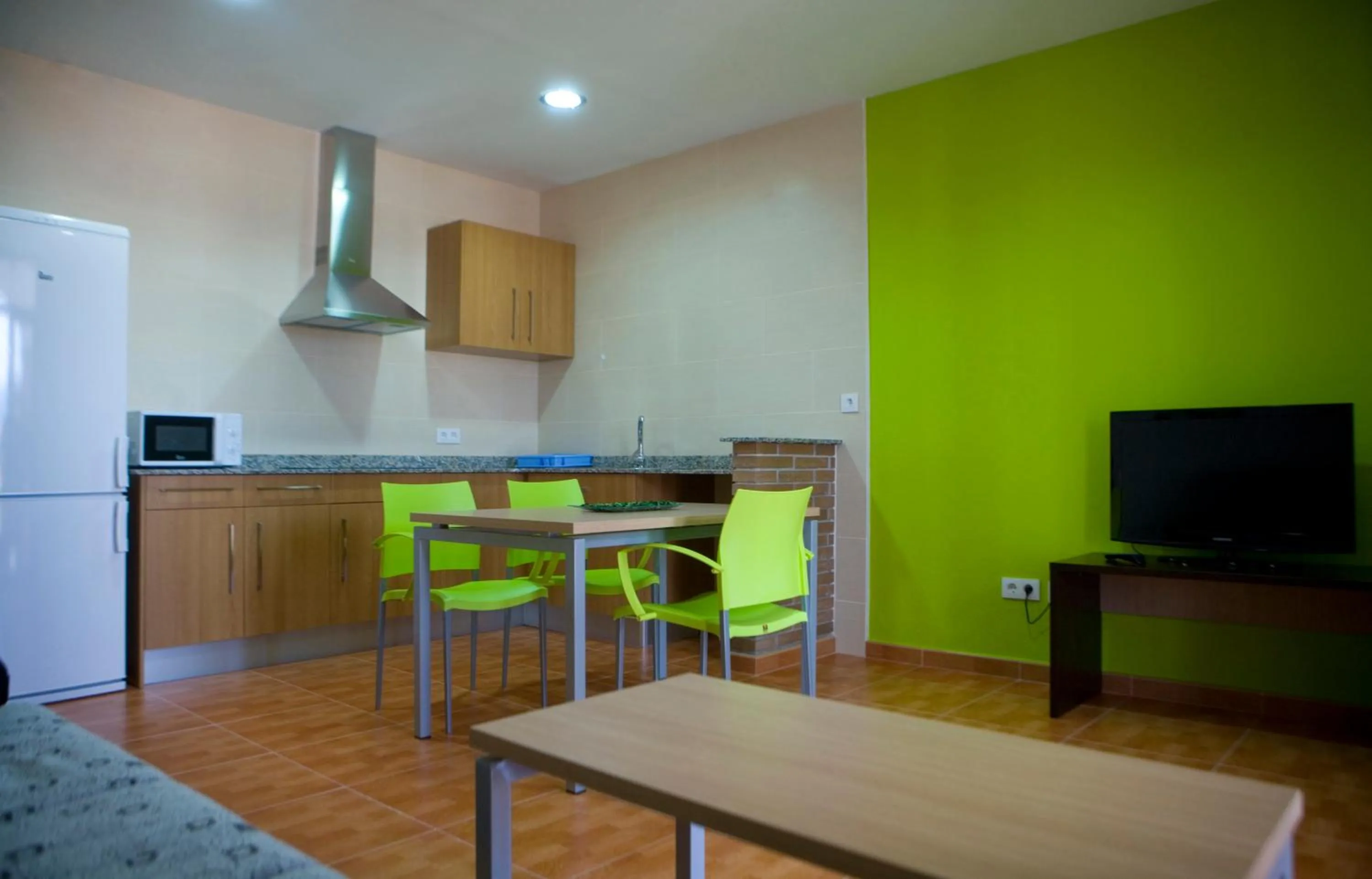Kitchen or kitchenette in Aparthotel Can Gallart