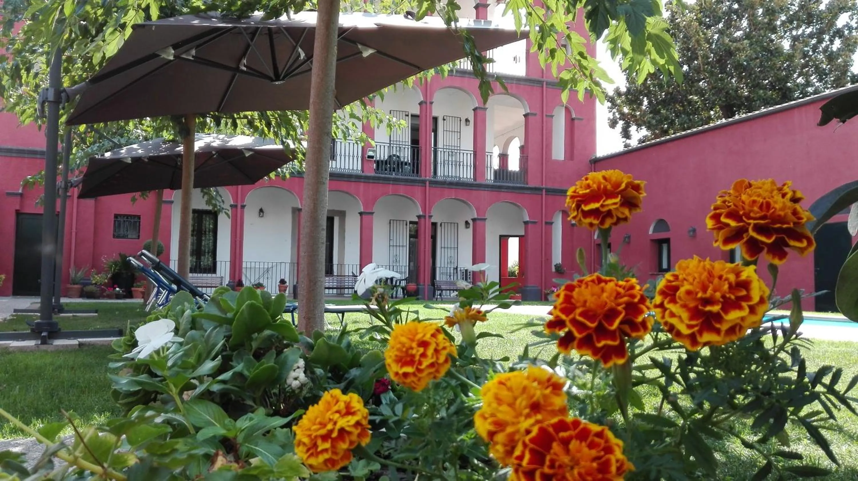 Garden in Aparthotel Can Gallart