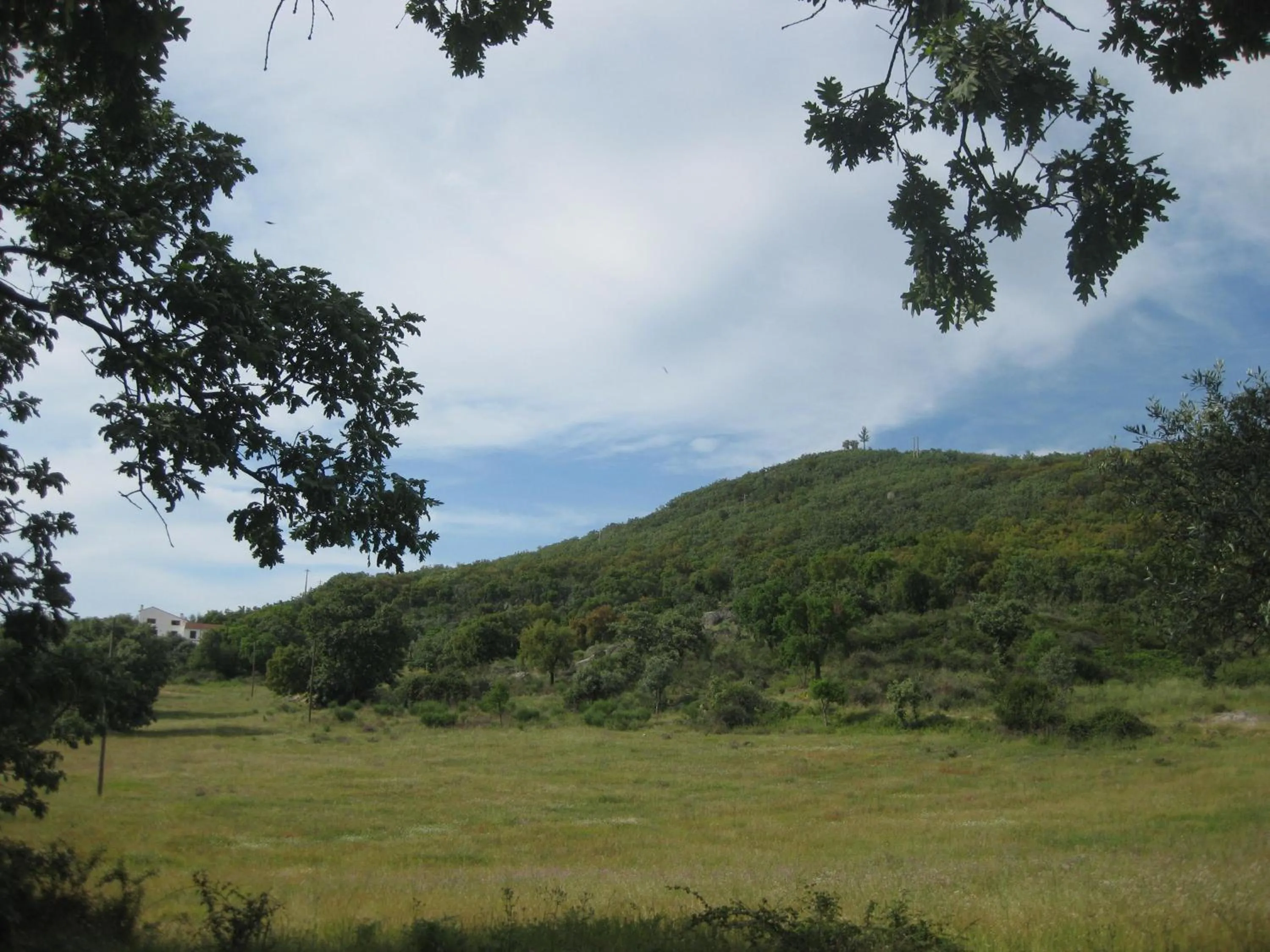 Hiking in Convento da Provença