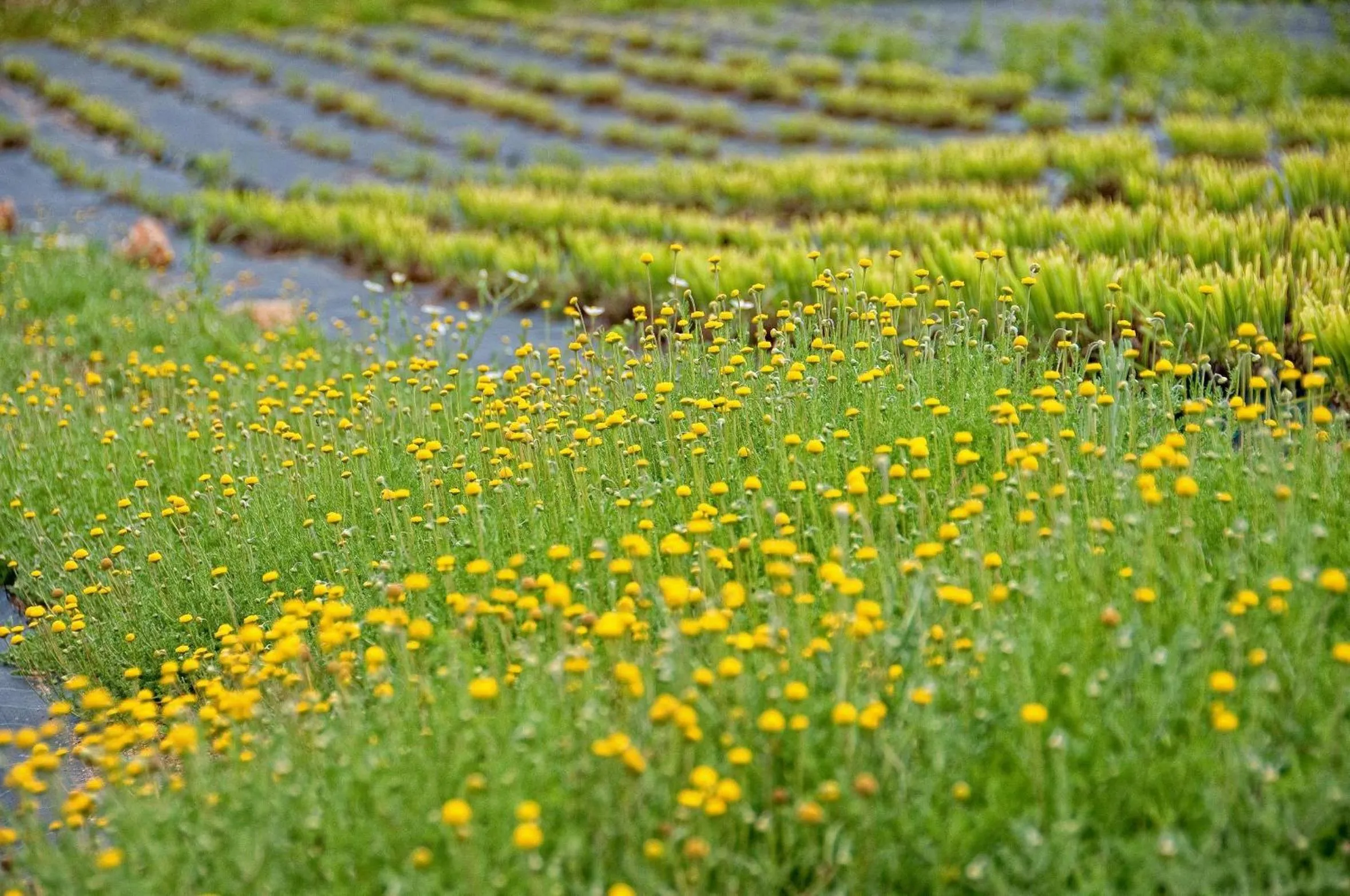 Facade/entrance in Quinta Do Mel