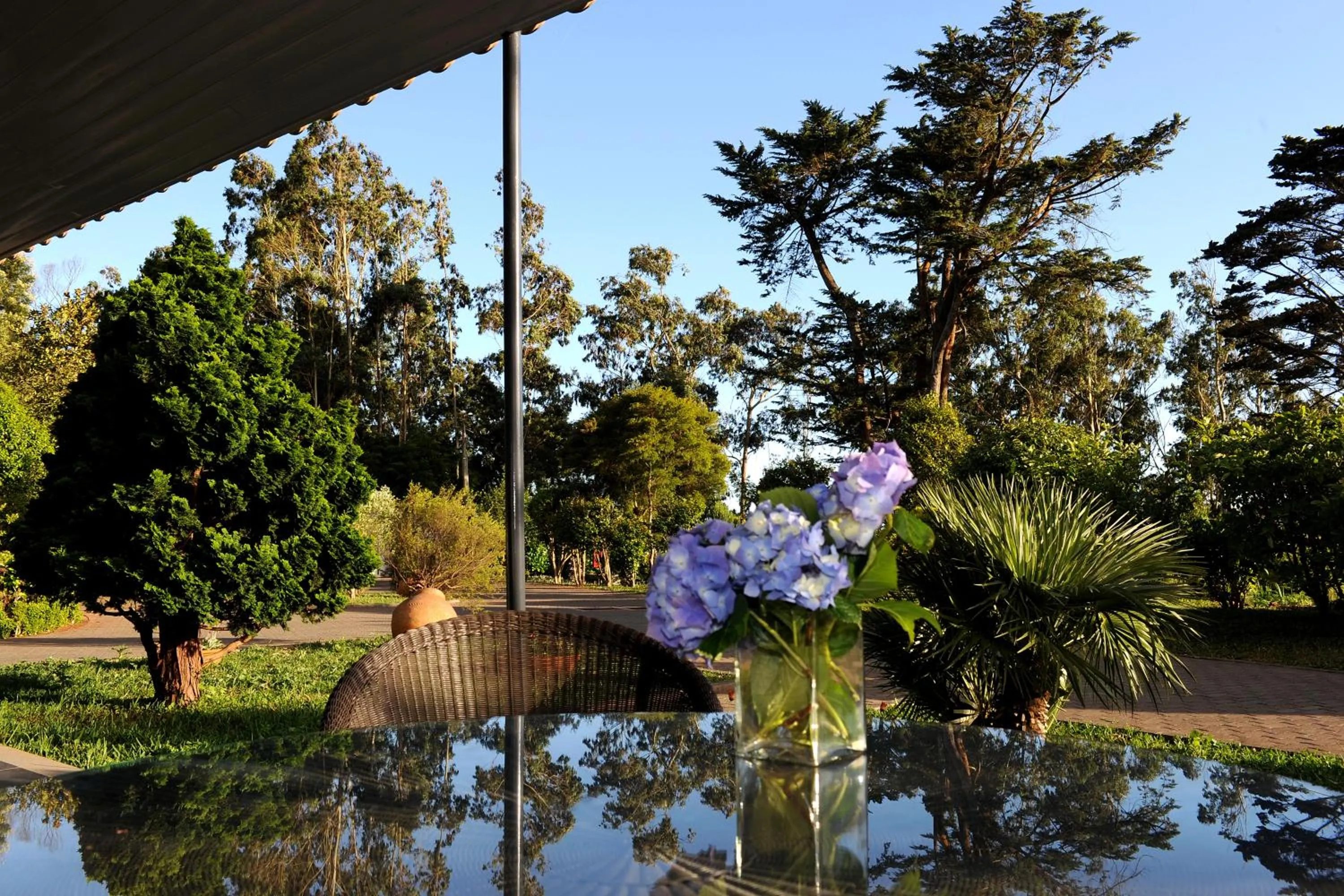 Garden in Quinta Da Cova Do Milho