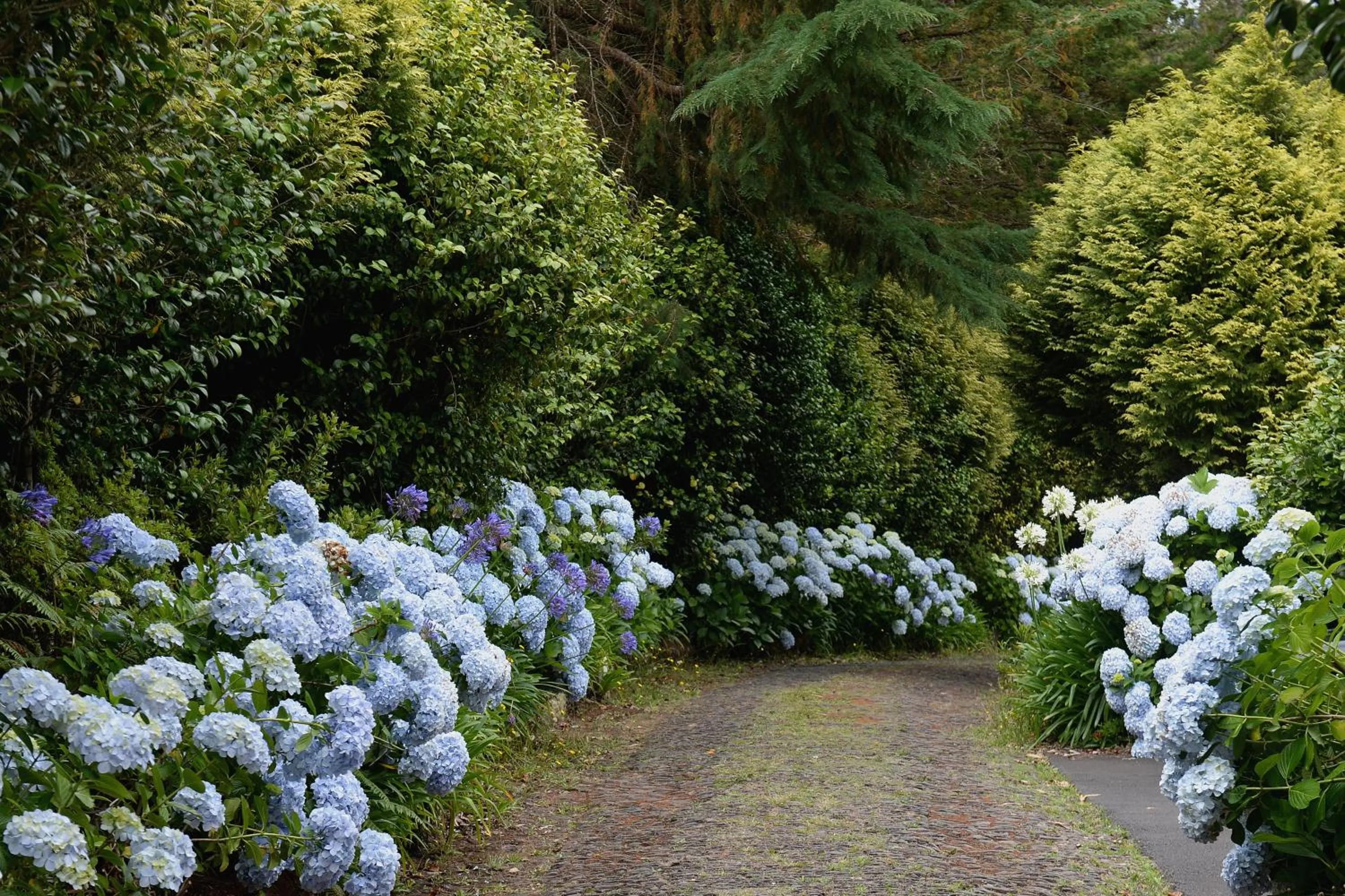 Garden view in Quinta Da Cova Do Milho