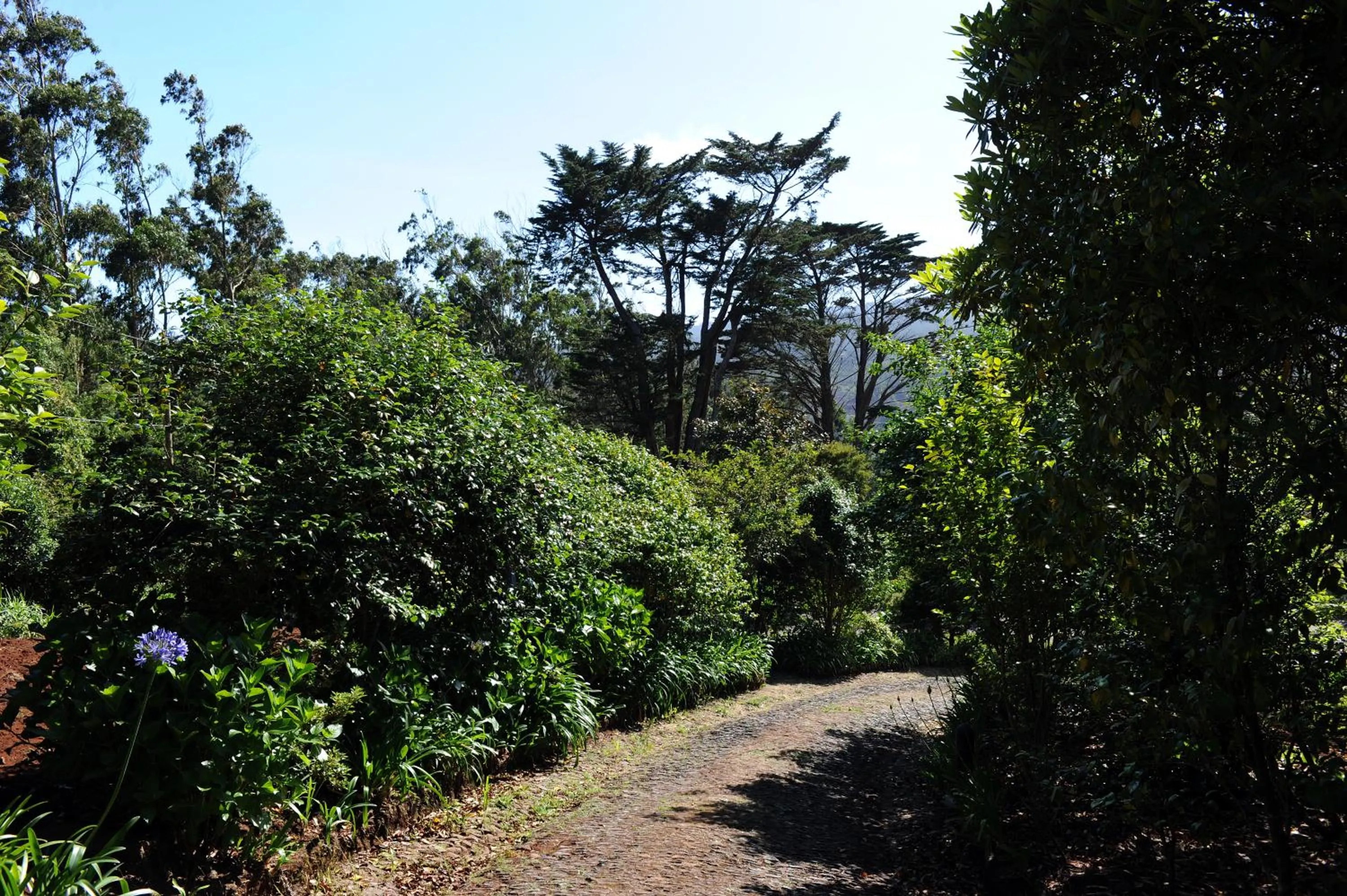 Garden in Quinta Da Cova Do Milho