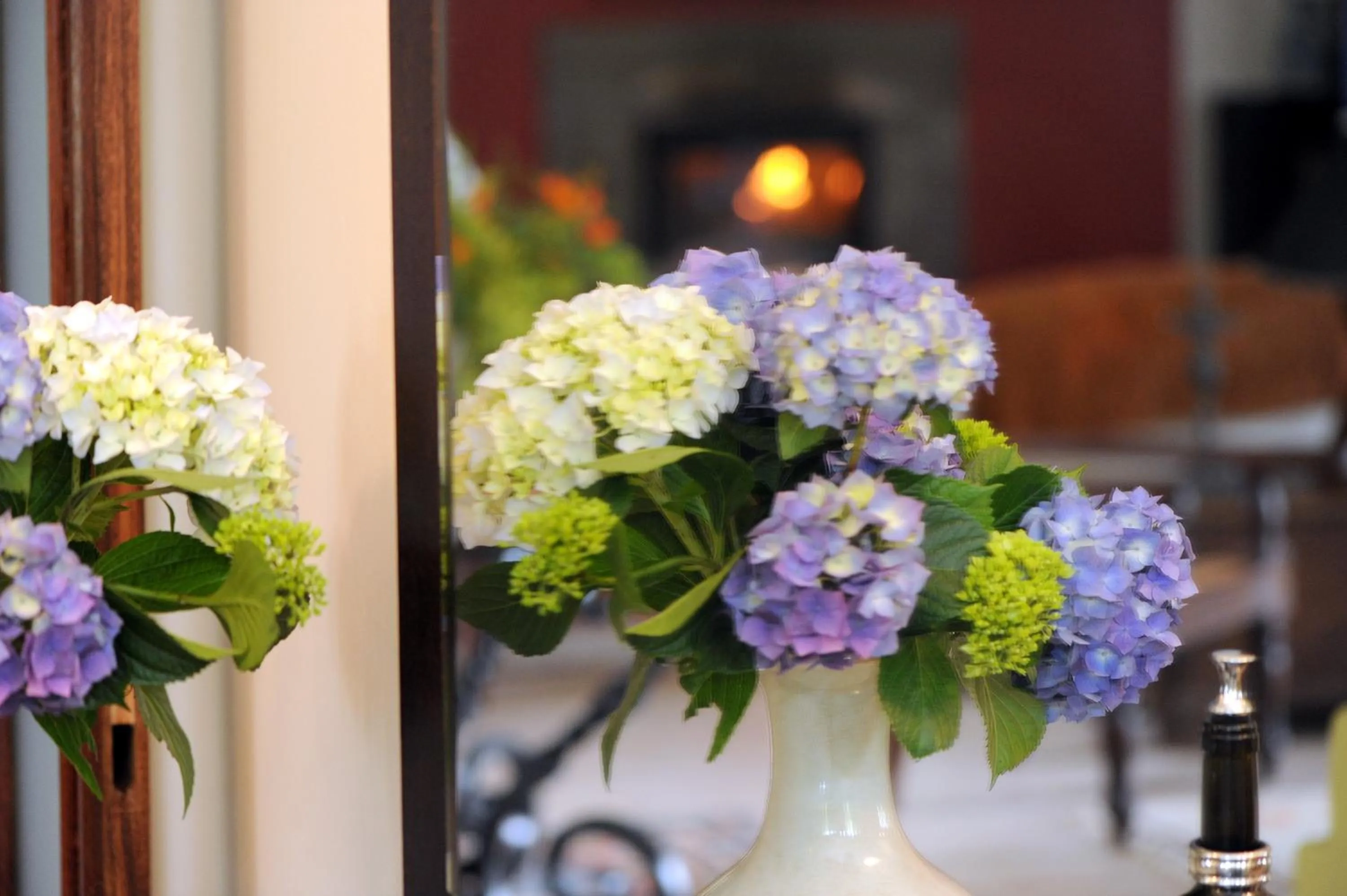 Garden in Quinta Da Cova Do Milho