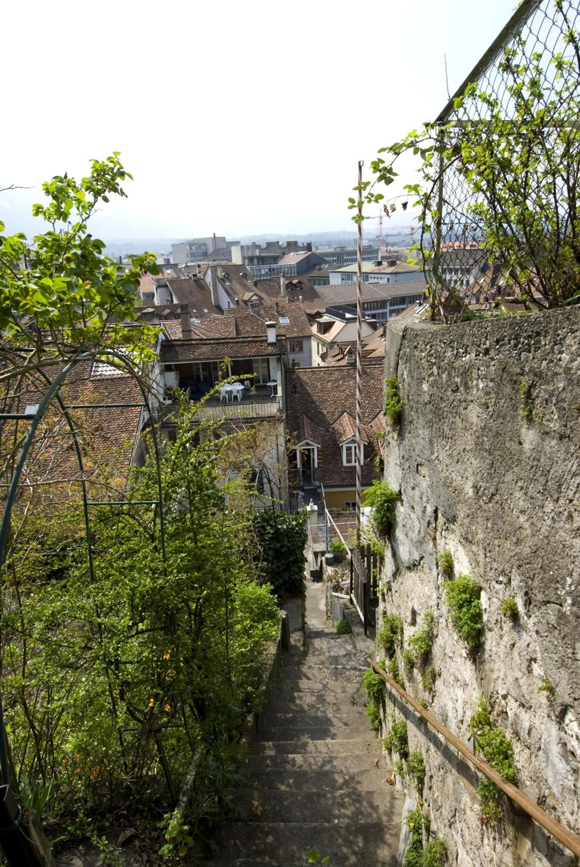 Garden in Hotel Restaurant Schwert Thun