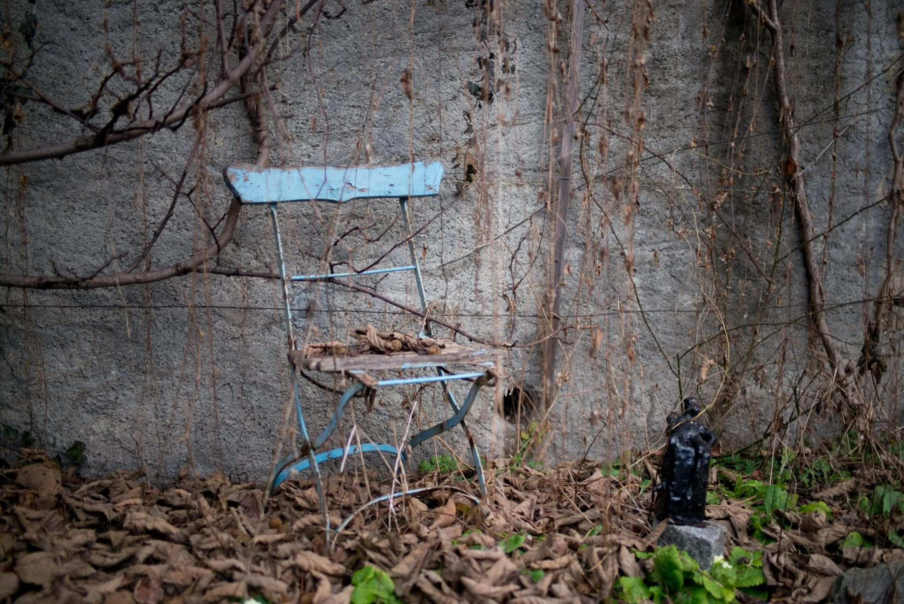 Garden in Hotel Restaurant Schwert Thun