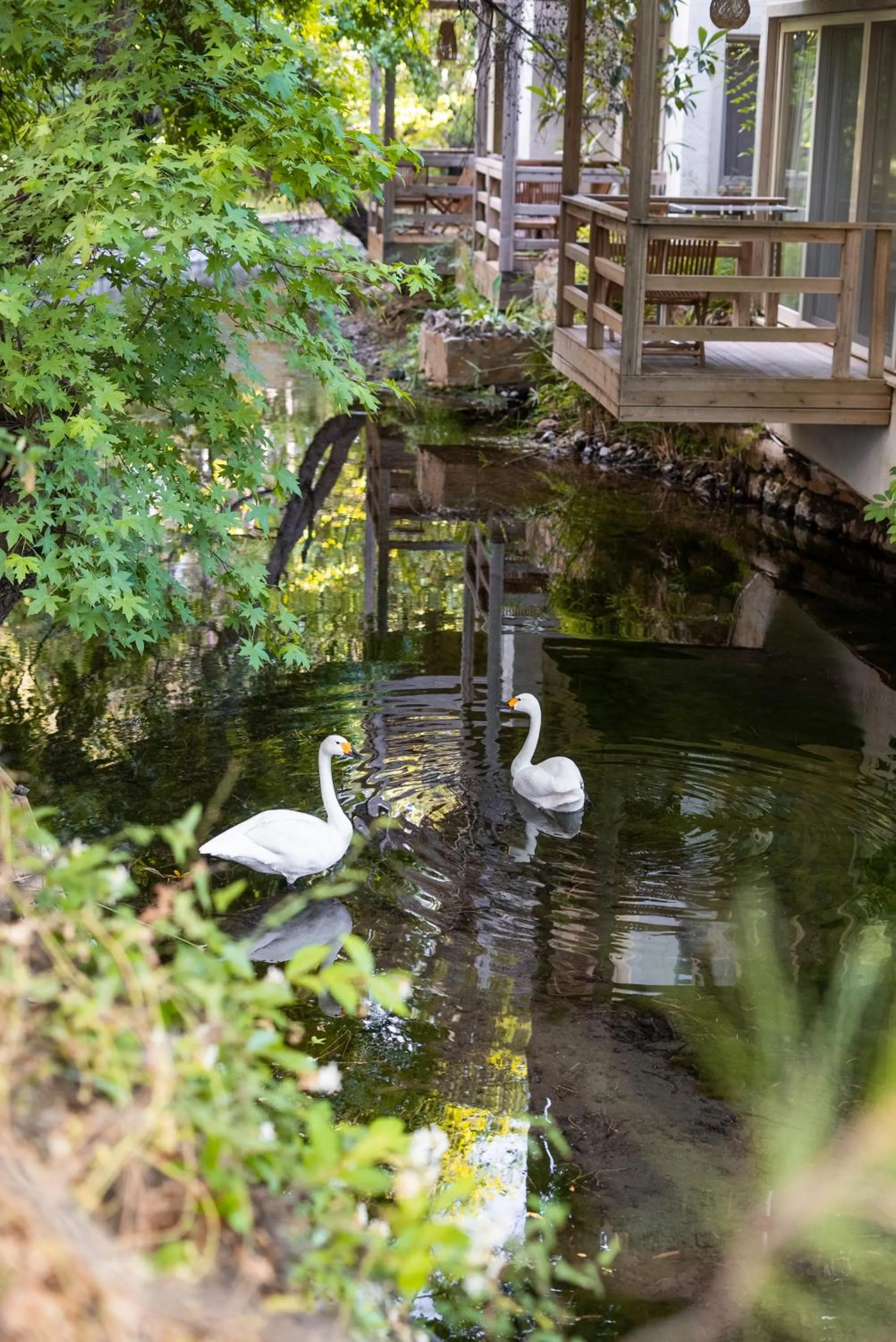 View (from property/room) in Golden Key Bordubet