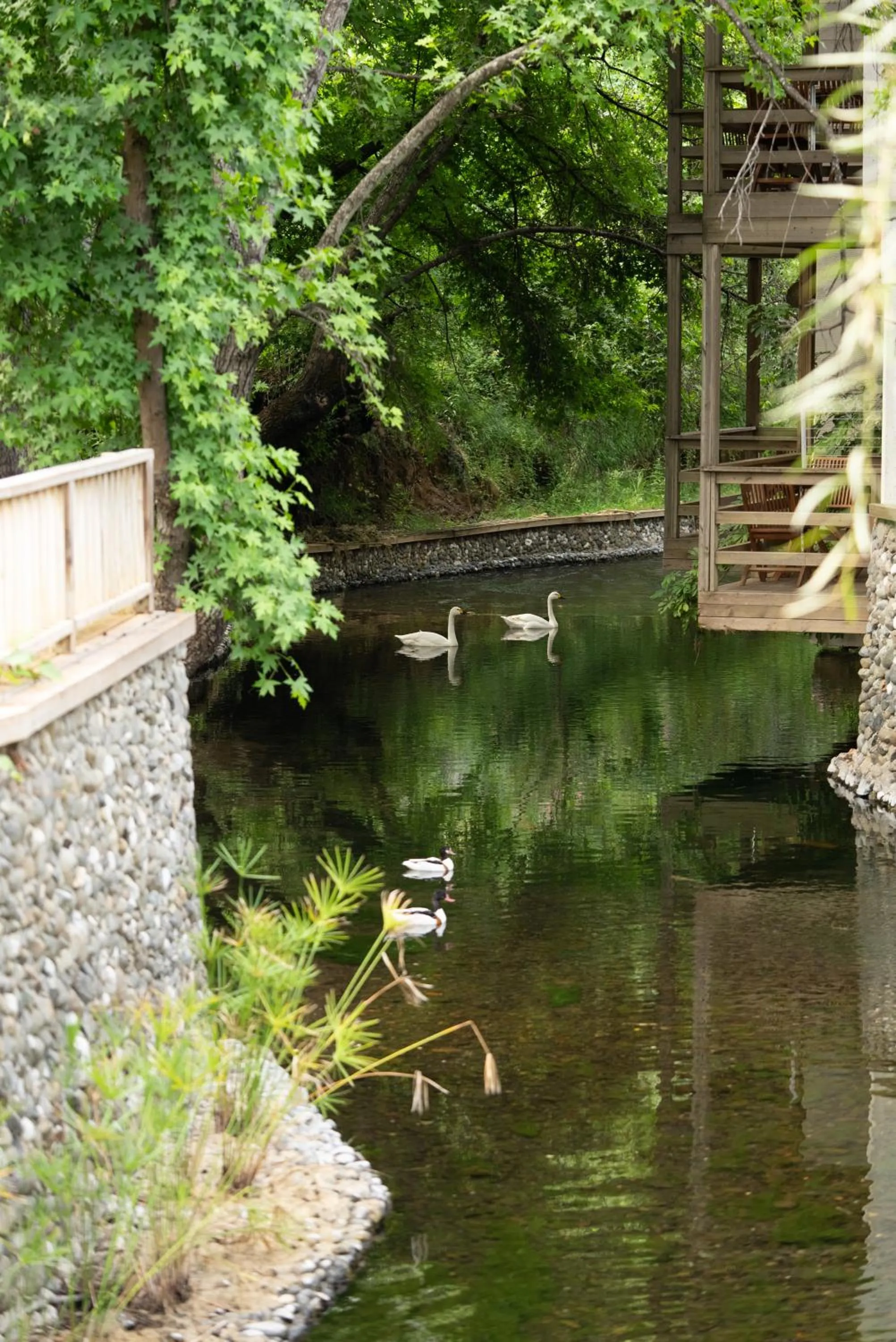 View (from property/room) in Golden Key Bordubet
