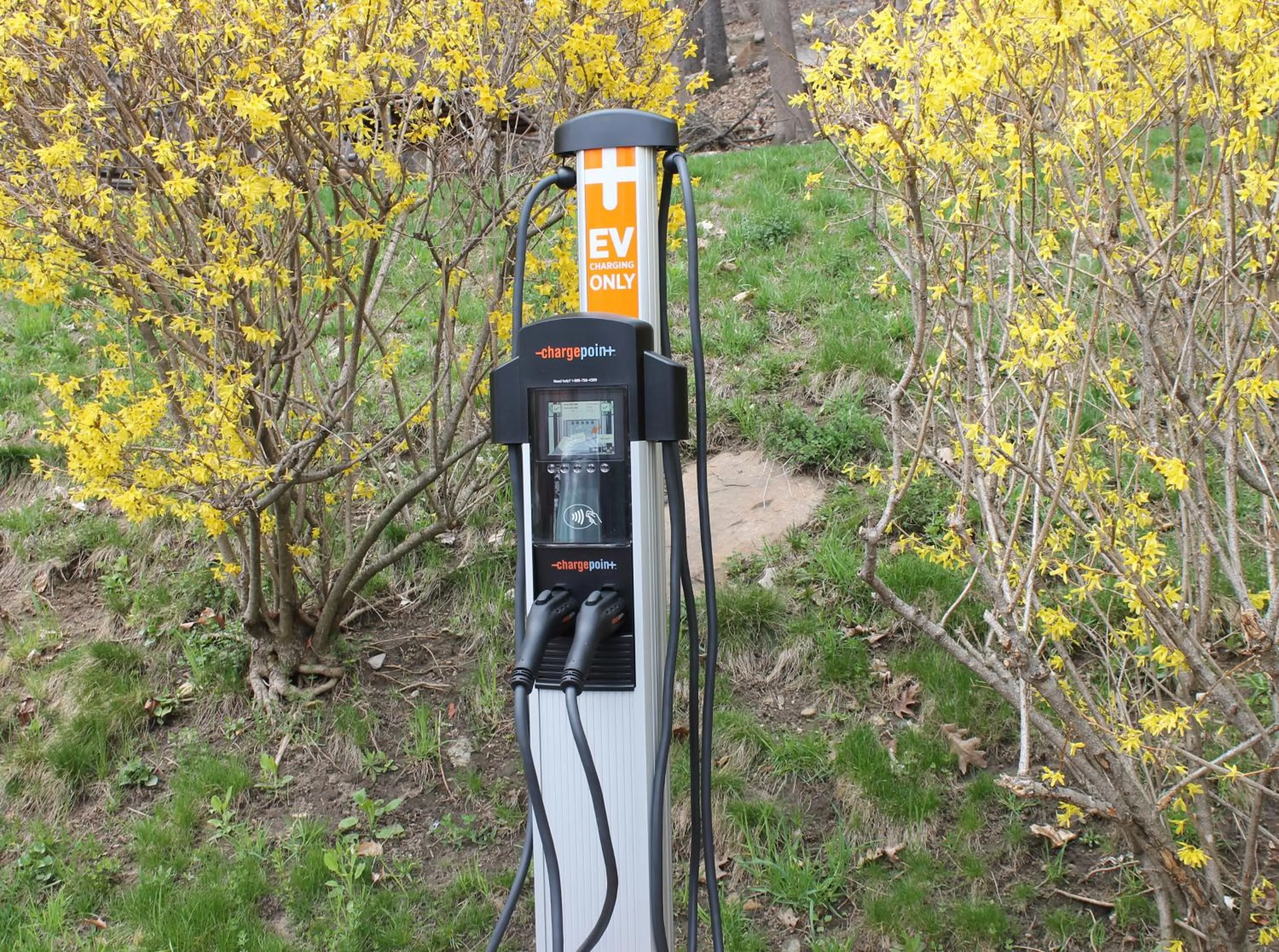 Other in The Porches Inn at Mass MoCA