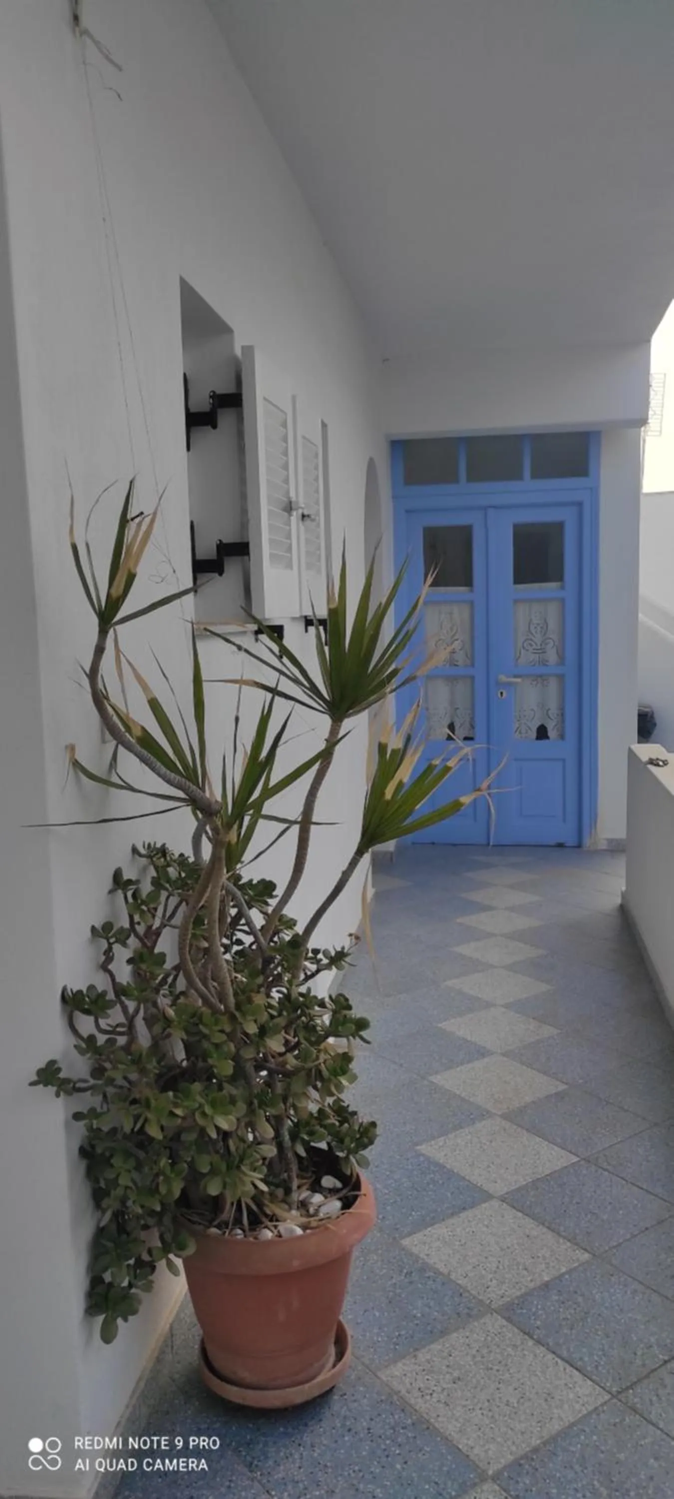 Loukia Apartments & Studios