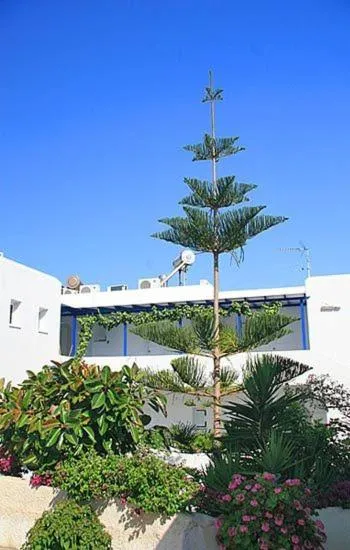 Facade/entrance in Loukia Apartments & Studios