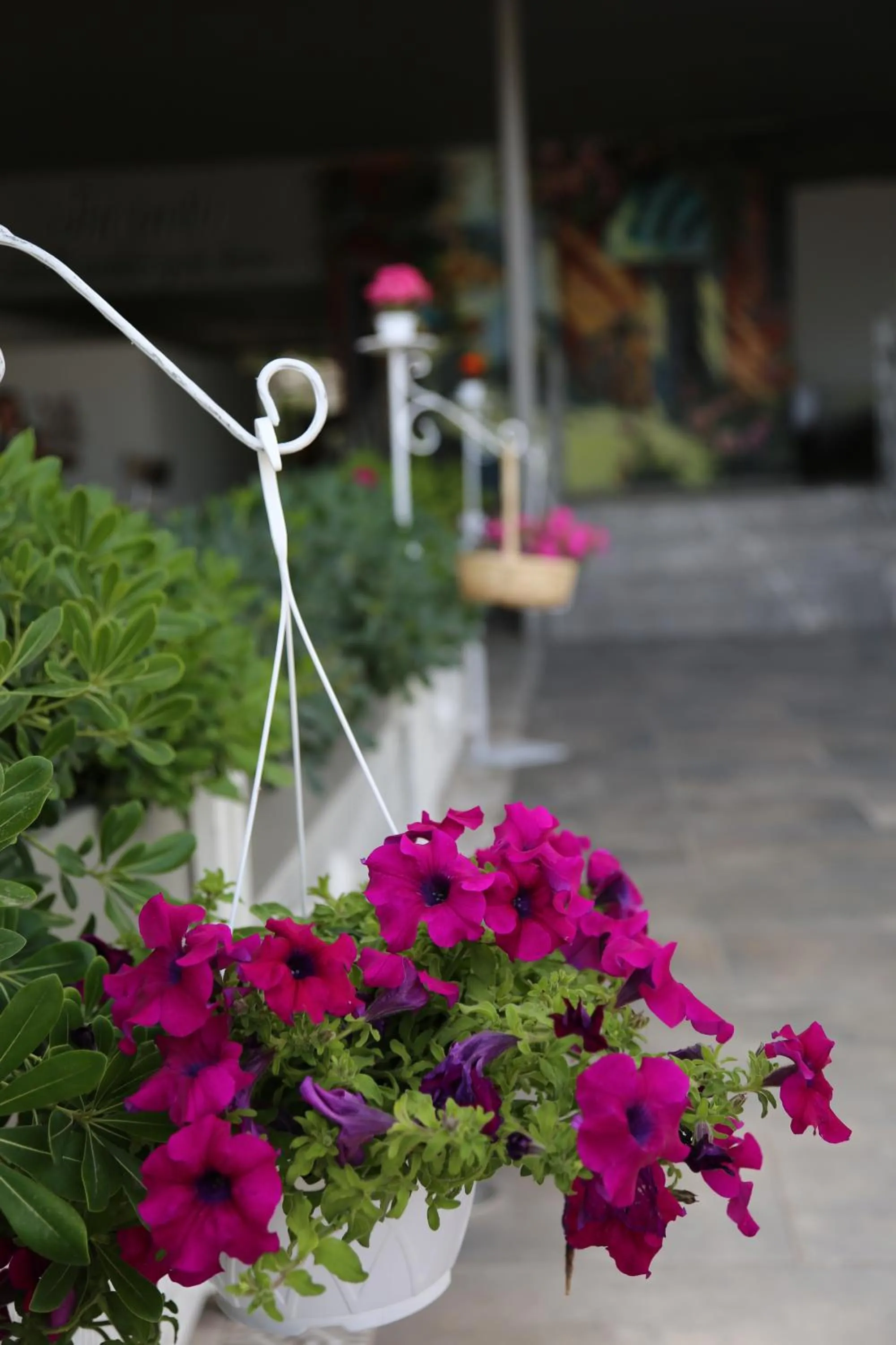 Facade/entrance in B&B Yuzbasi Beach