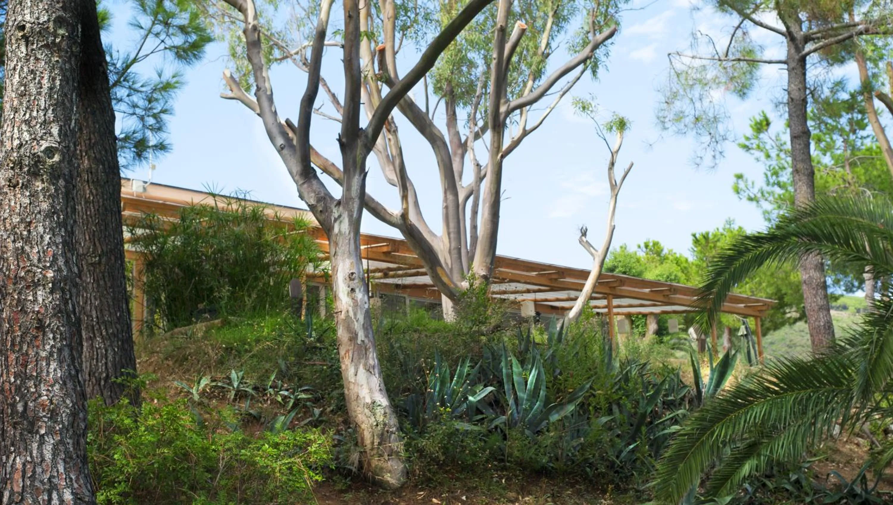 Natural landscape in Hotel Capo Sud