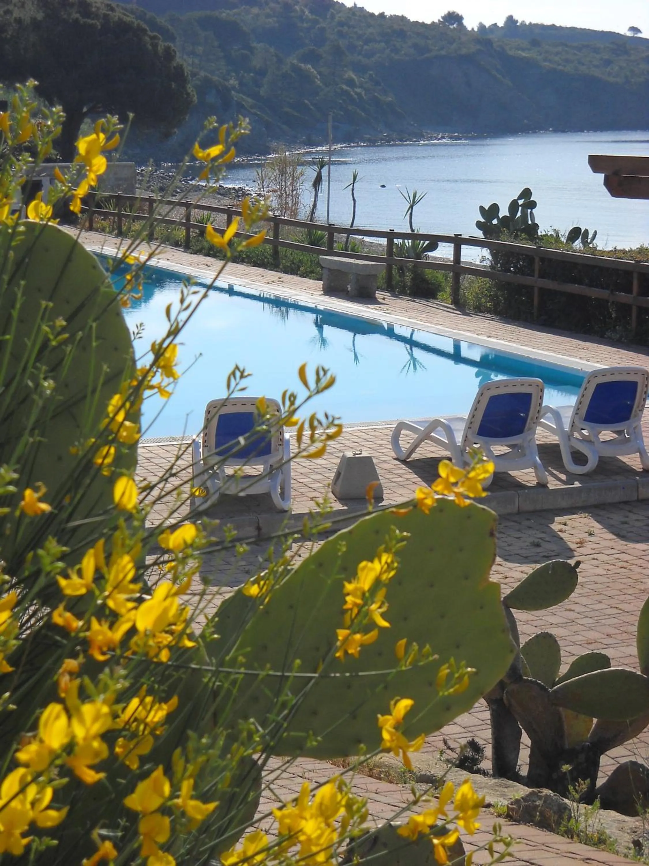 Balcony/Terrace in Hotel Capo Sud