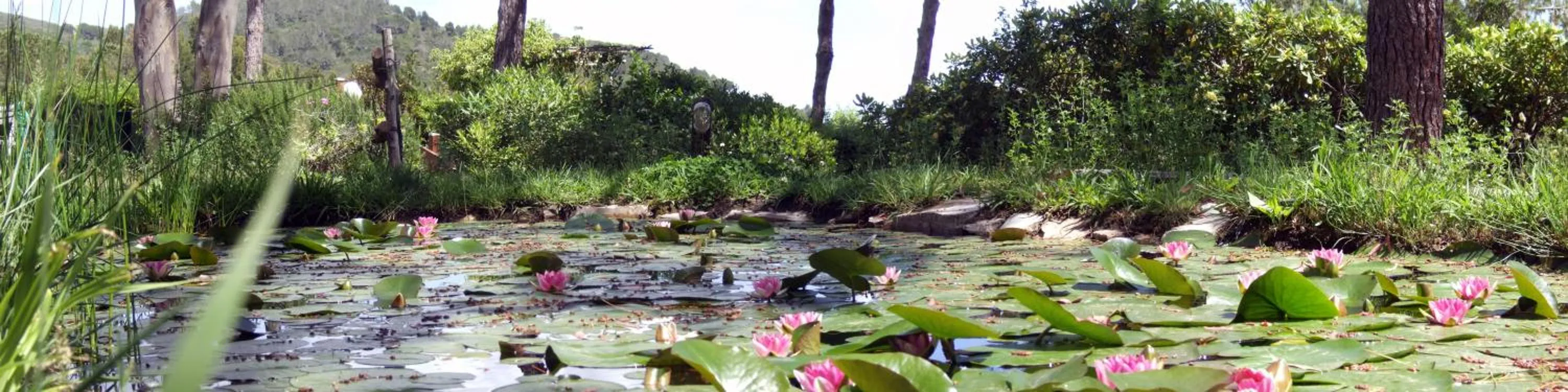 Day in Hotel Capo Sud