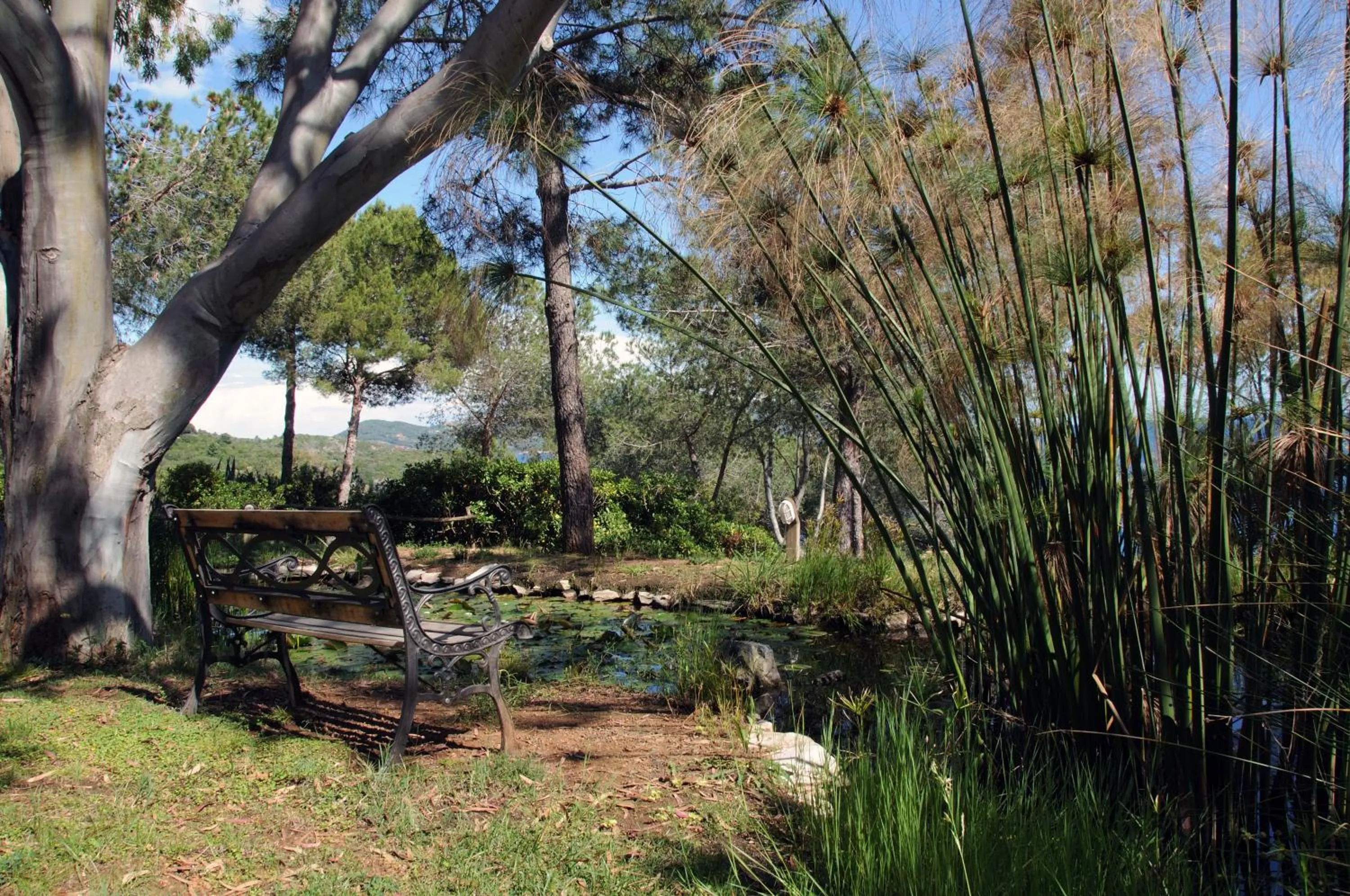 Day in Hotel Capo Sud