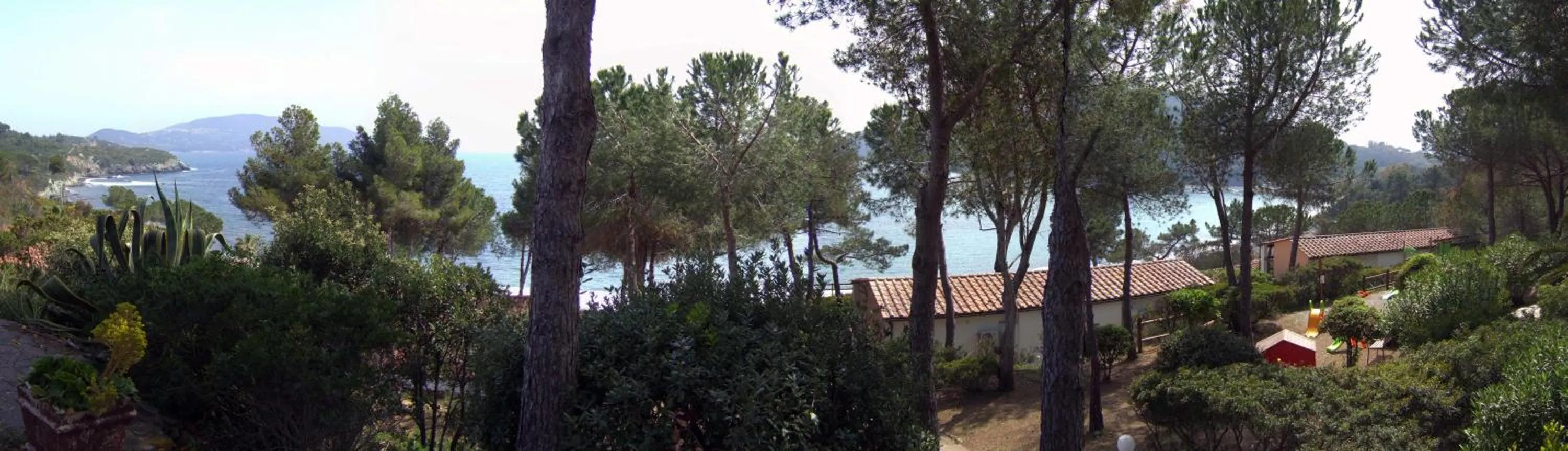 Garden in Hotel Capo Sud
