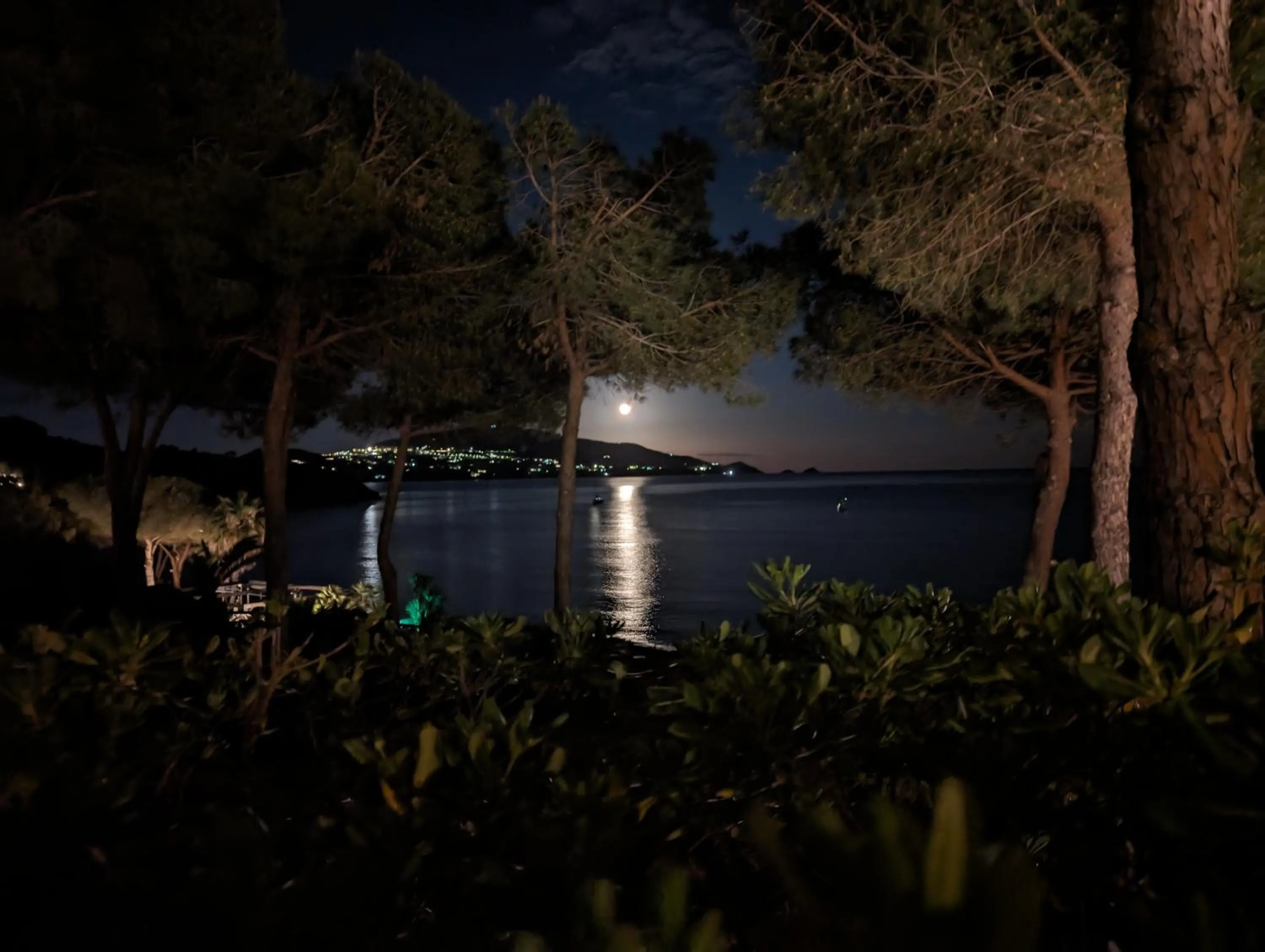 Sea view in Hotel Capo Sud