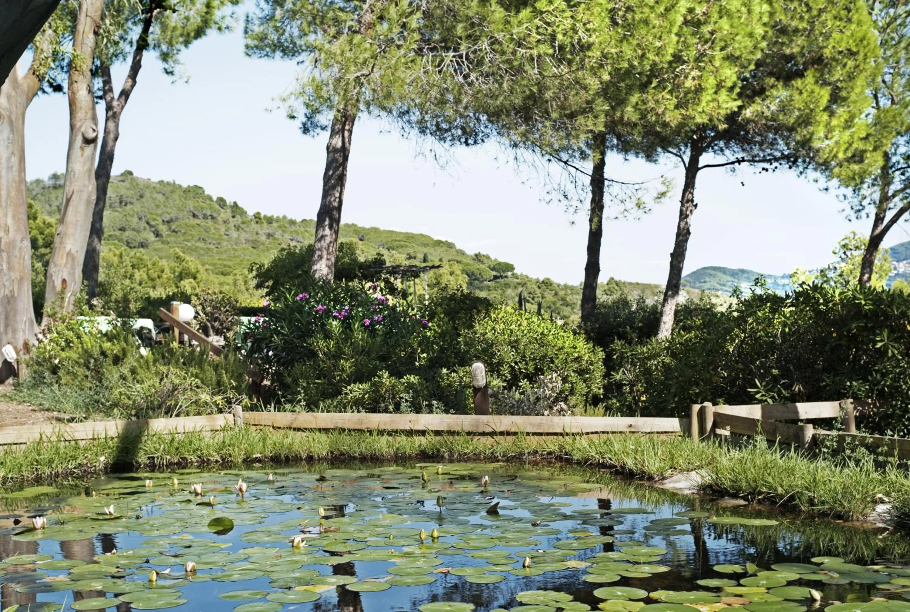 Natural landscape in Hotel Capo Sud